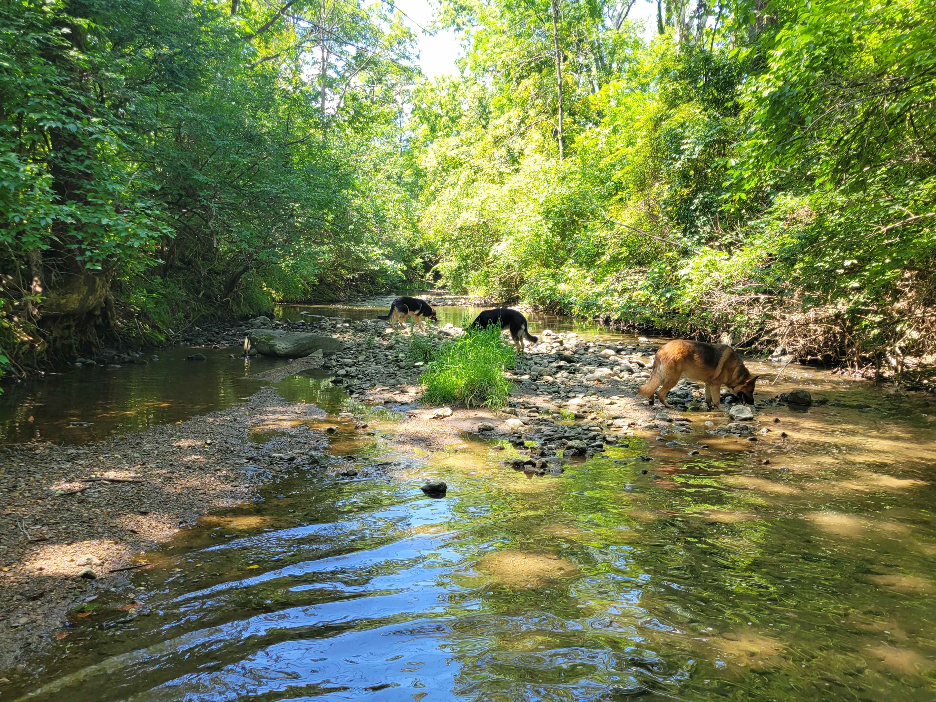 The Land of Milk And Honey