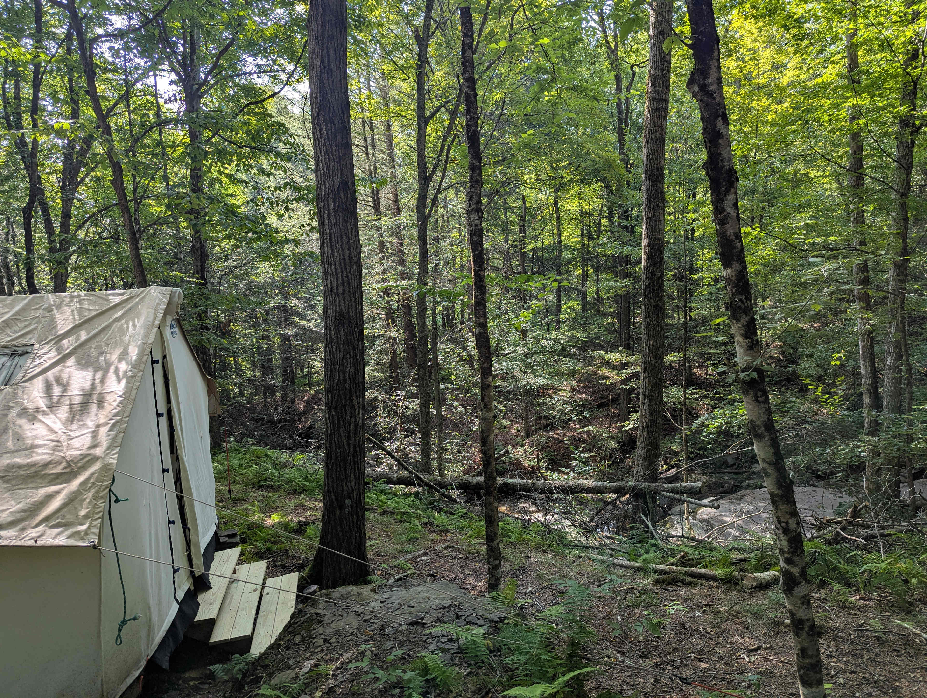 Mountainside Waterfall Retreat
