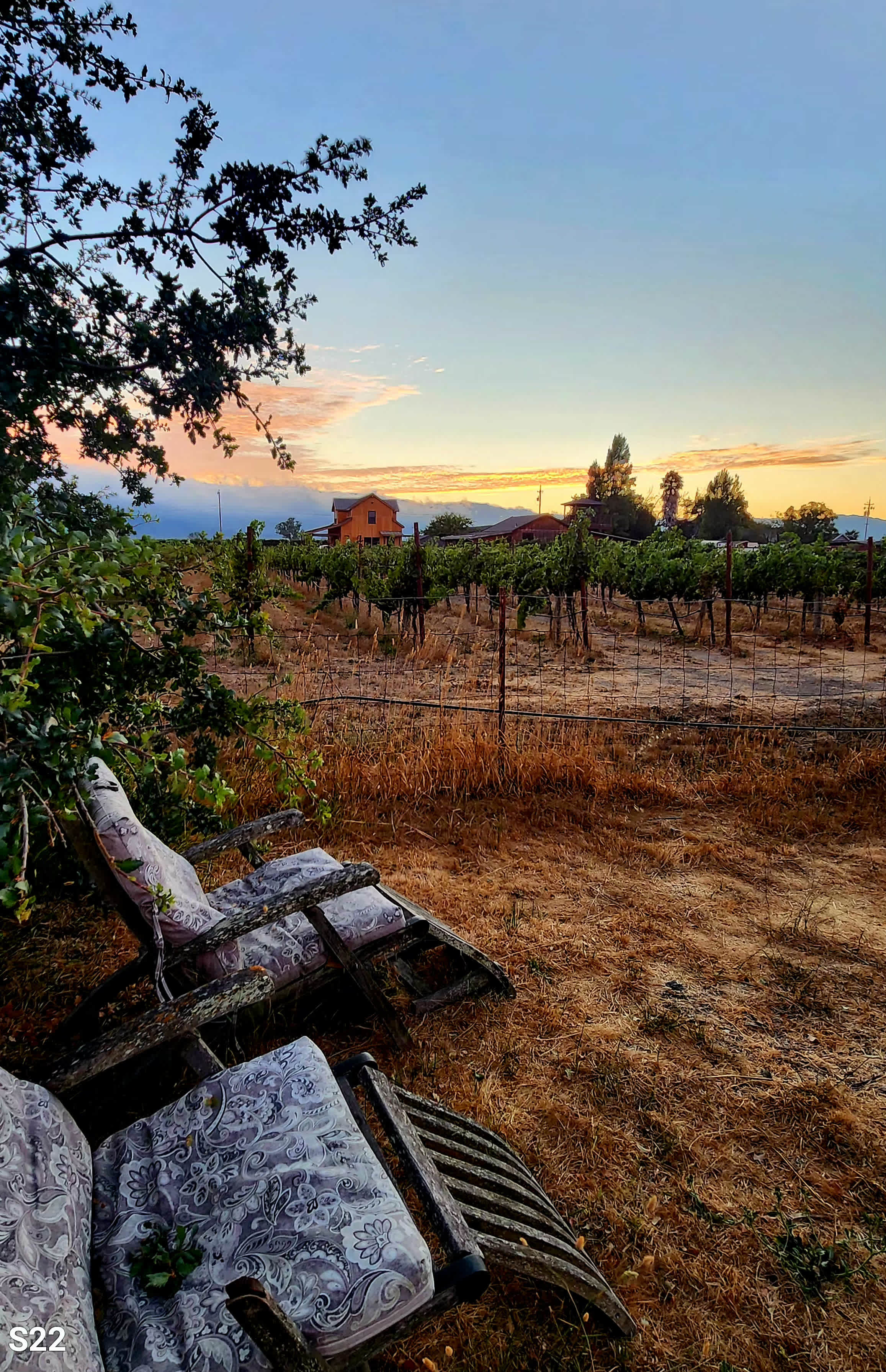 Pharo Pharms Organic Farm-