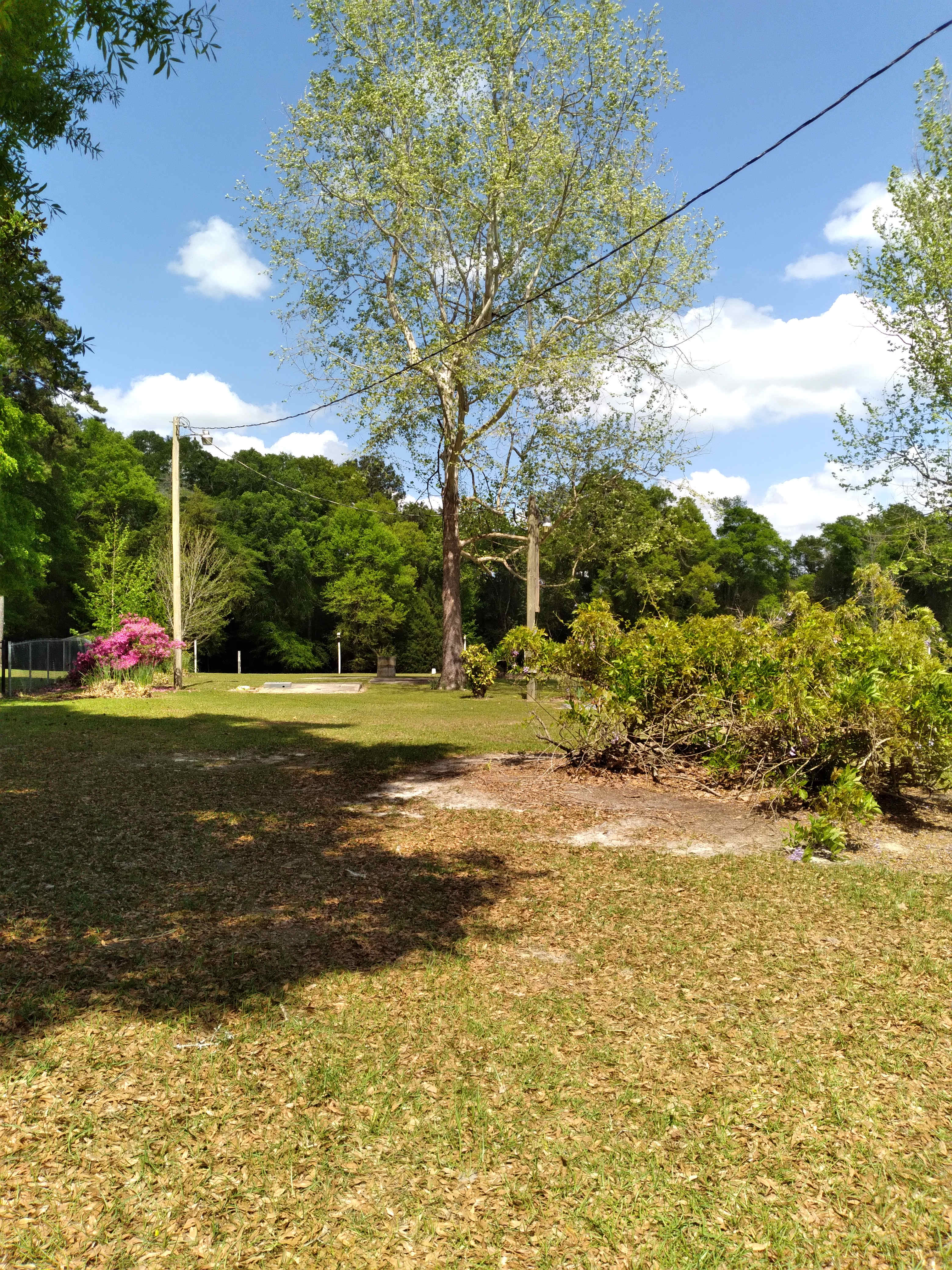 Stump's Country Camping