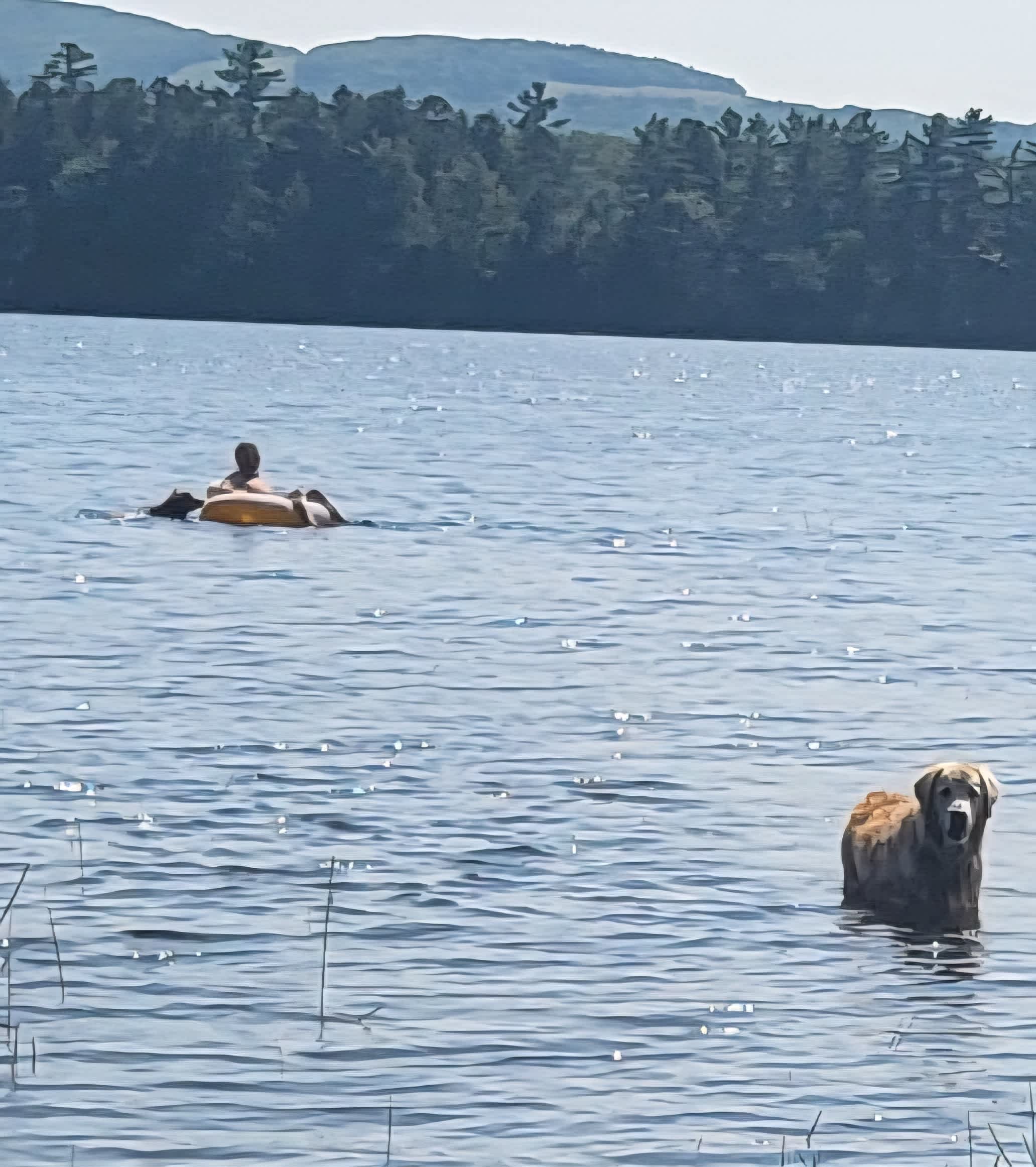 Cabin of the Woods at Tilden Pond