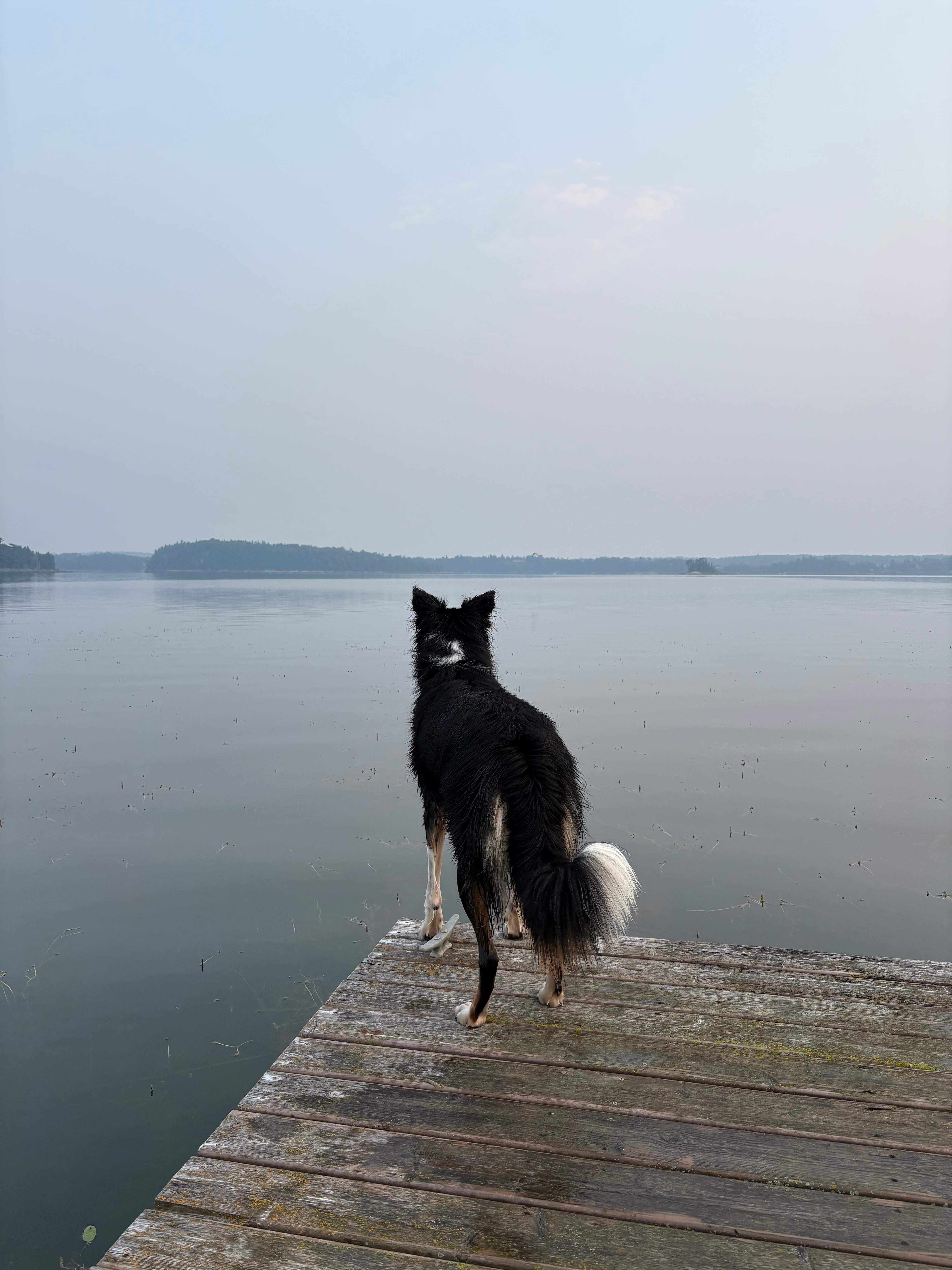 Muriel Lake Beach Field Forest