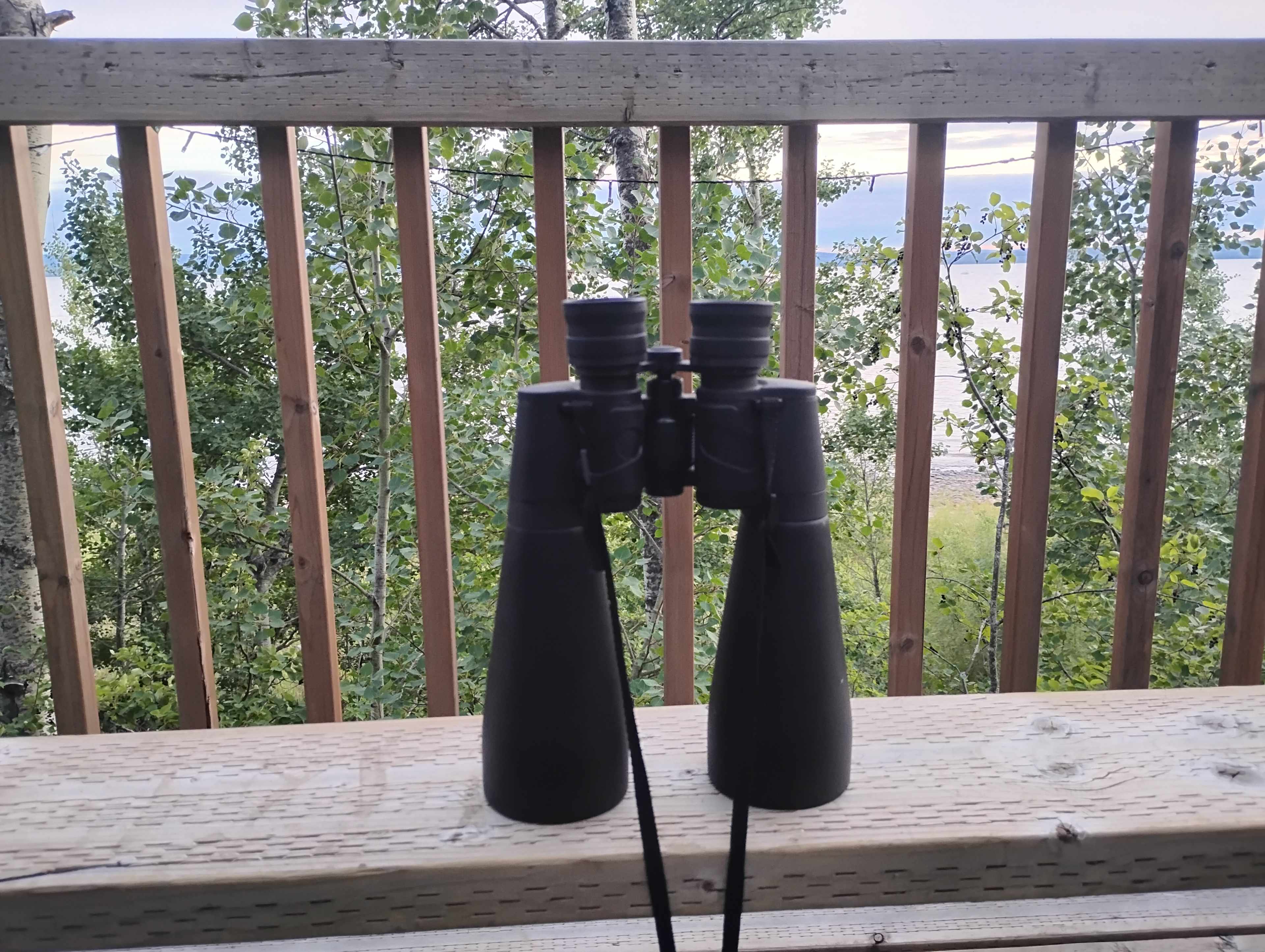 Homegrown Campground & Cabins