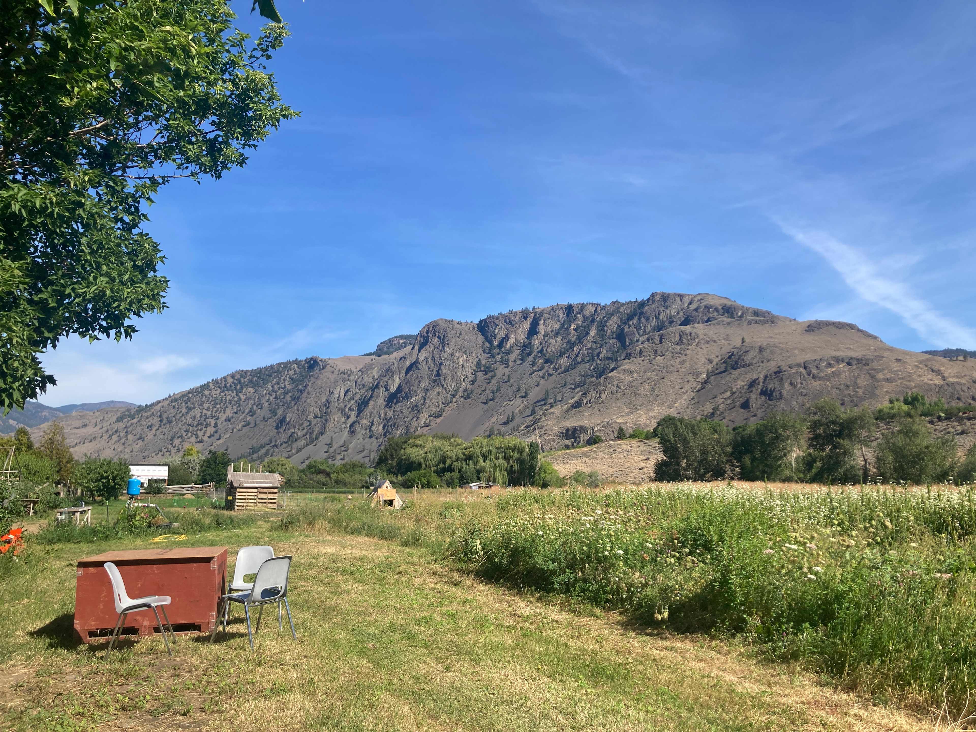 Fruit Haven, Cawston BC