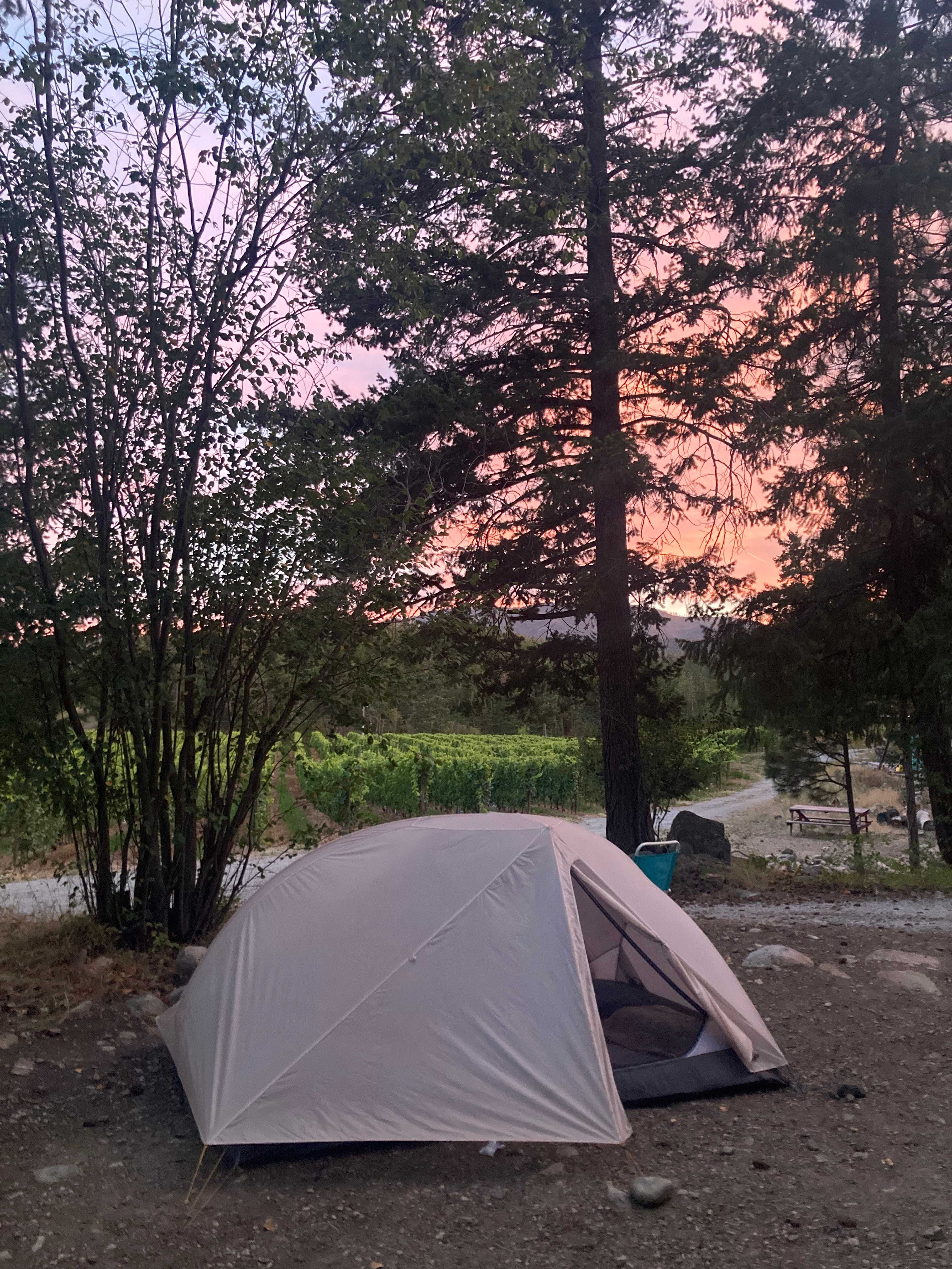 Back Forty Vineyards