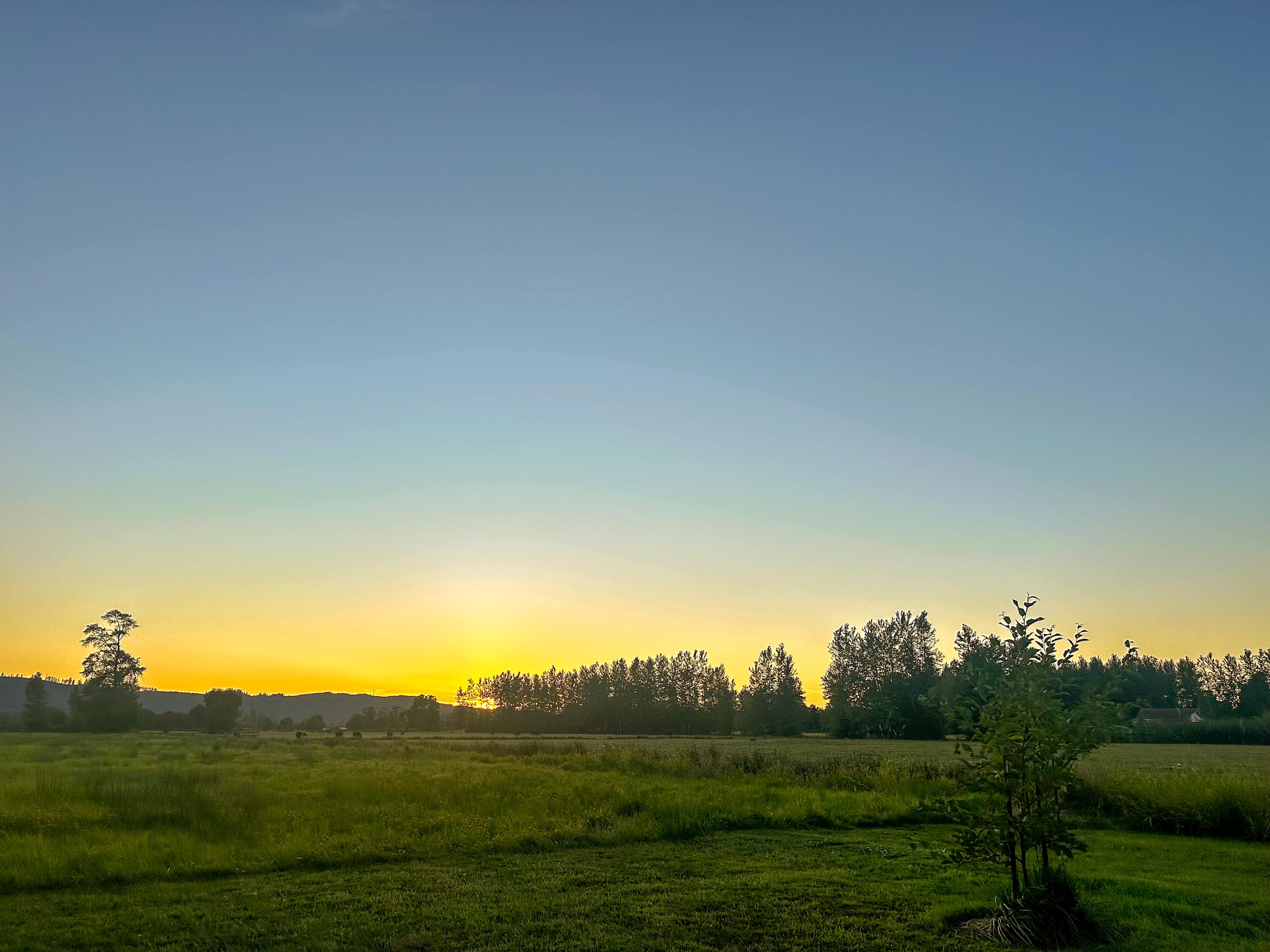 Slow Boat Farm - Island Camping