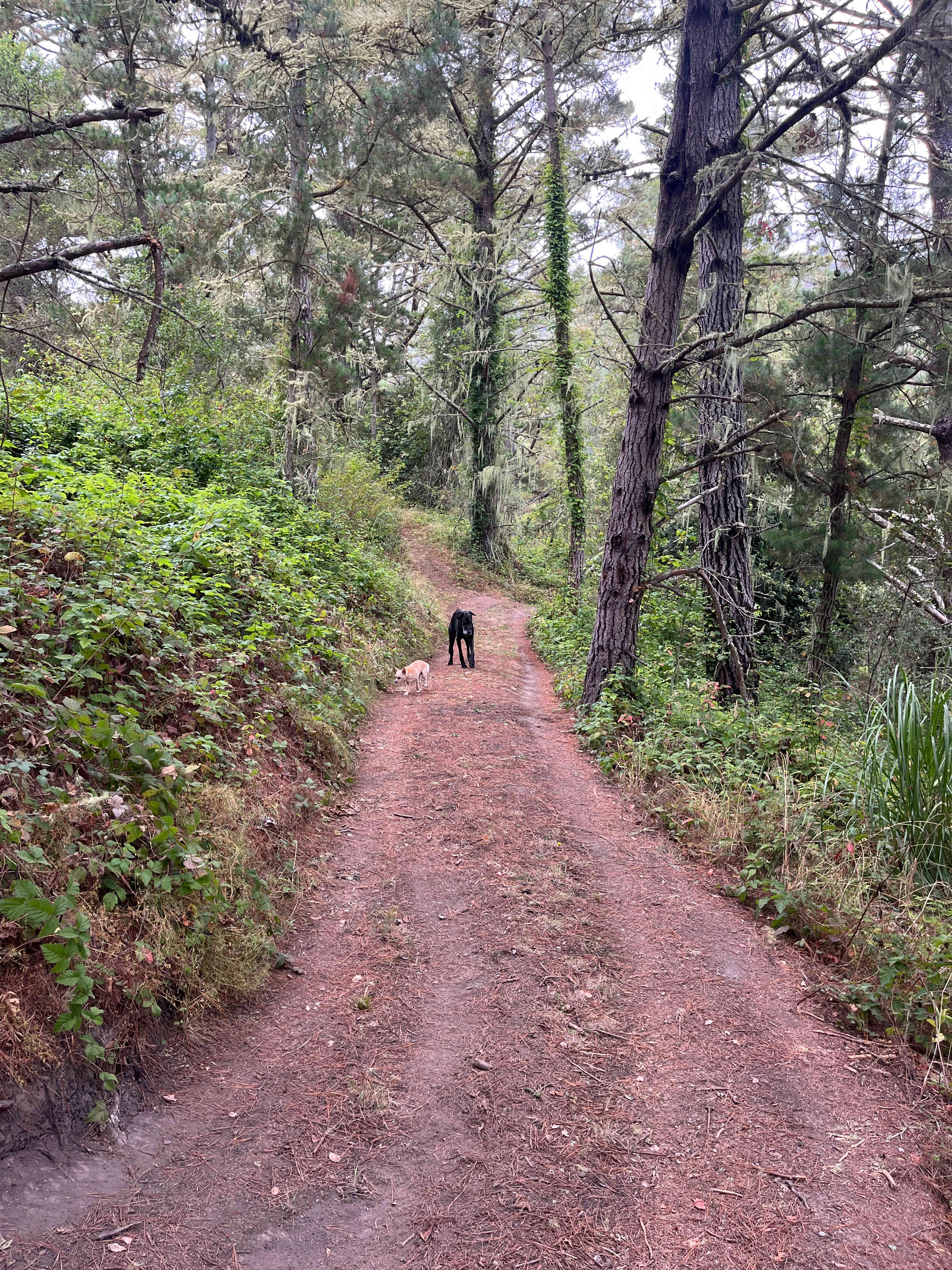 Moon Crest Valley Ranch