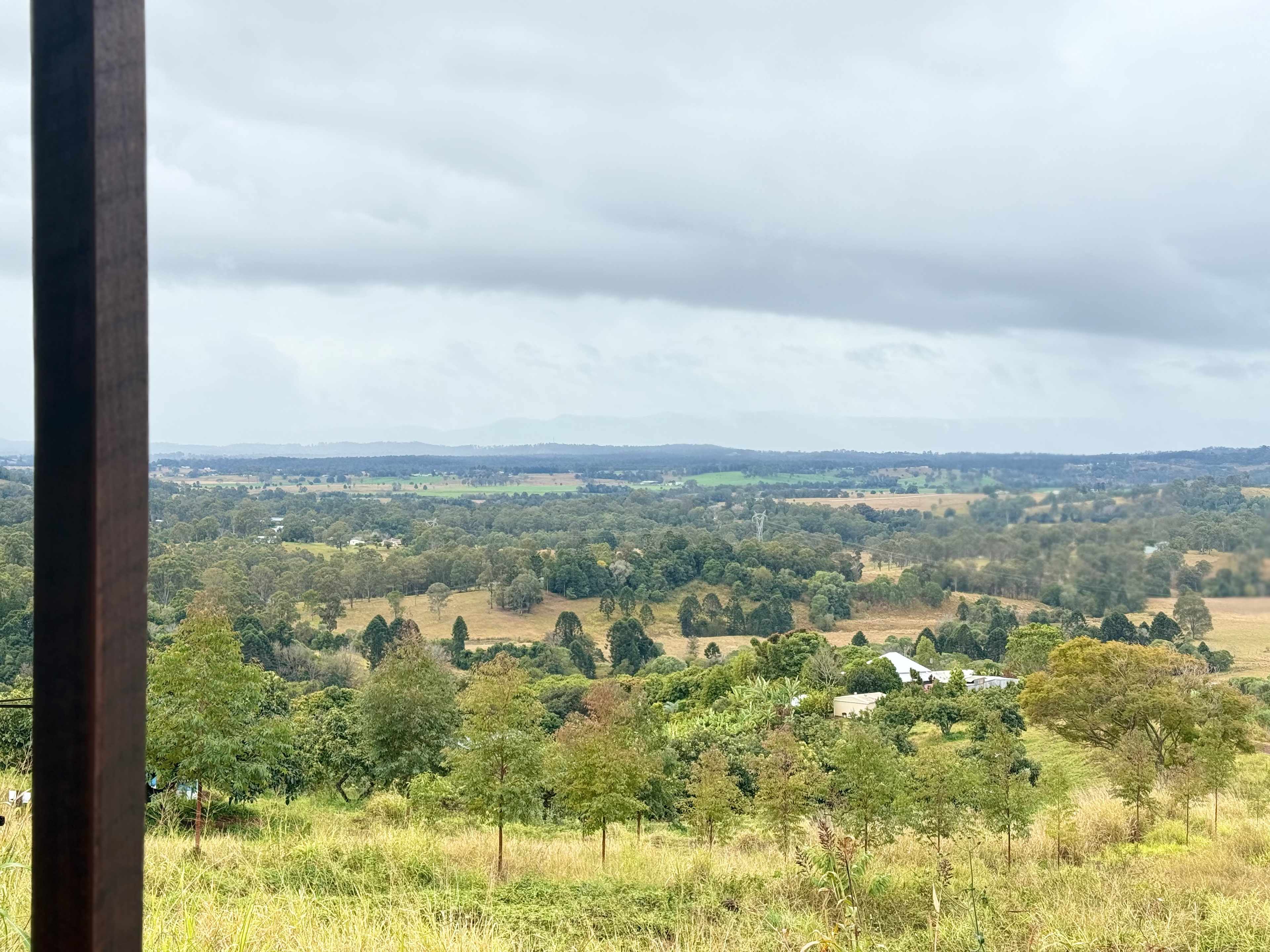 The Avocado Tree Farm