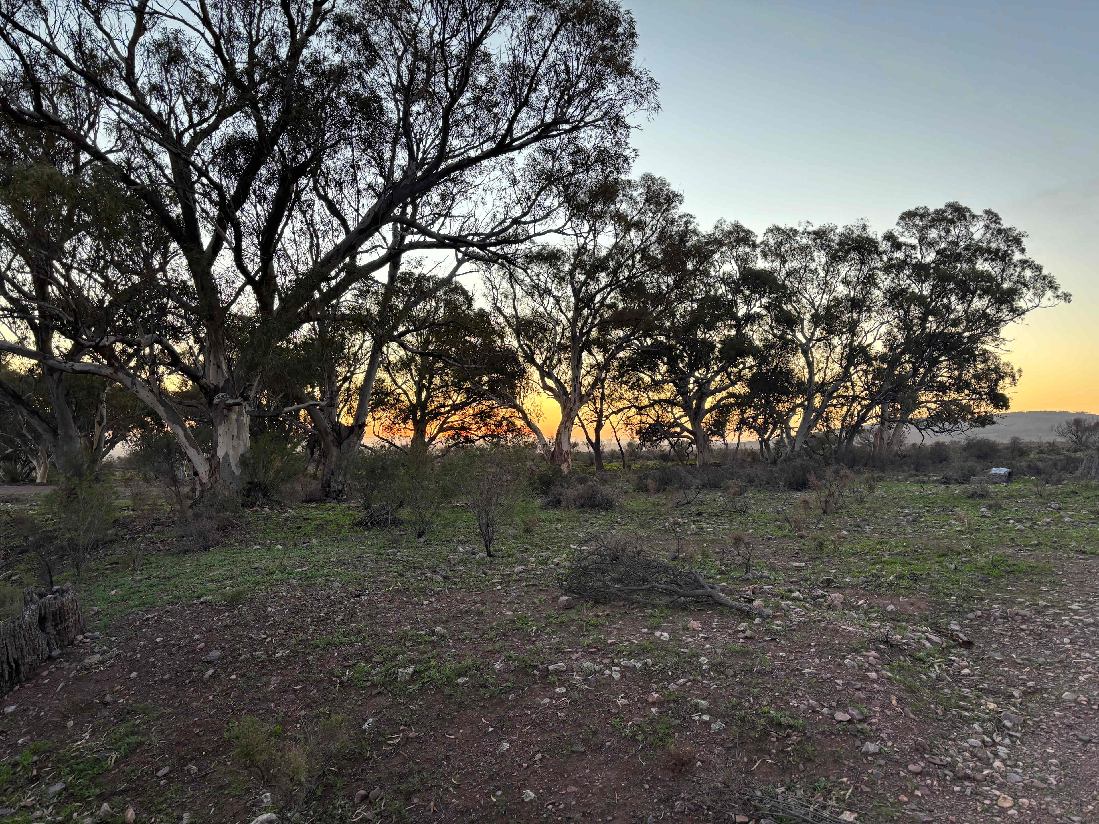 Catninga Camps & Accommodation