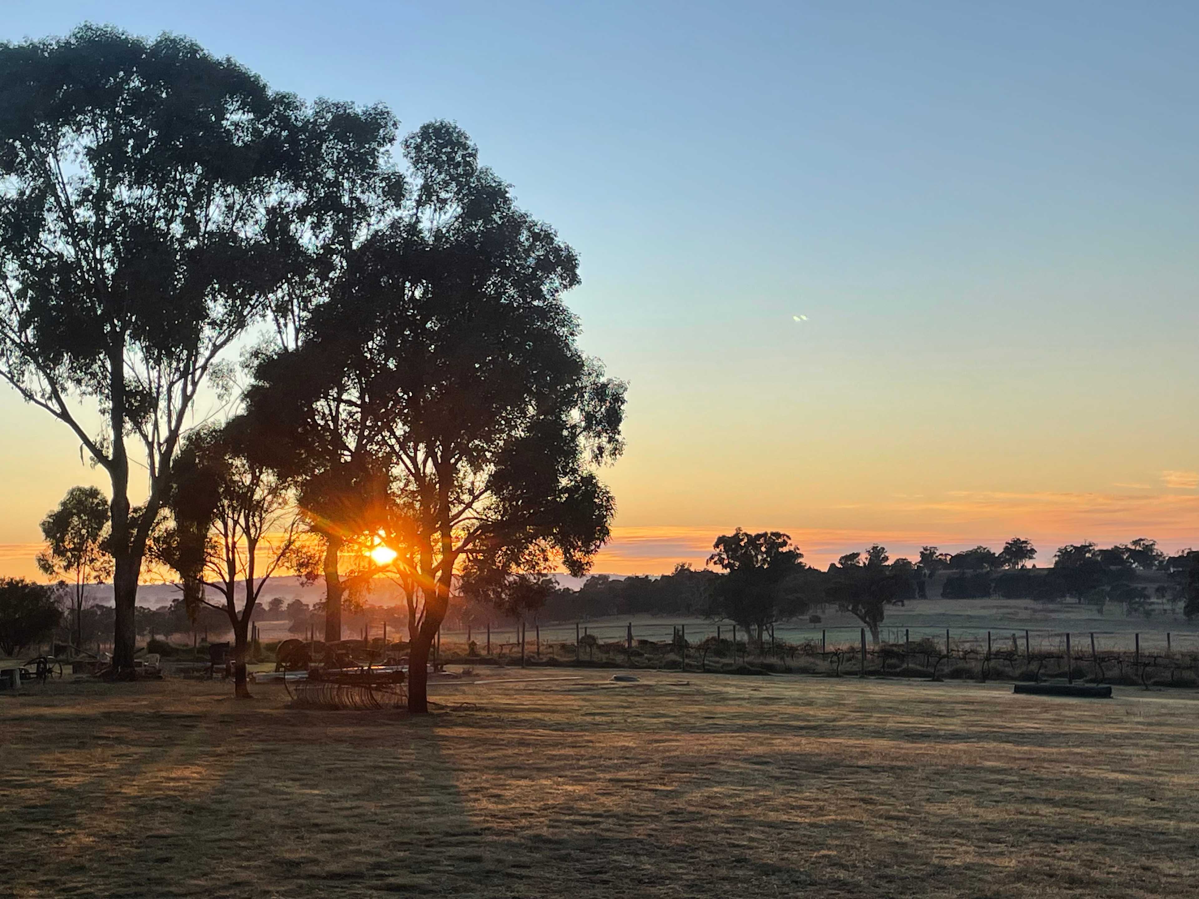 Maalaabidi Naturist Farm Stay