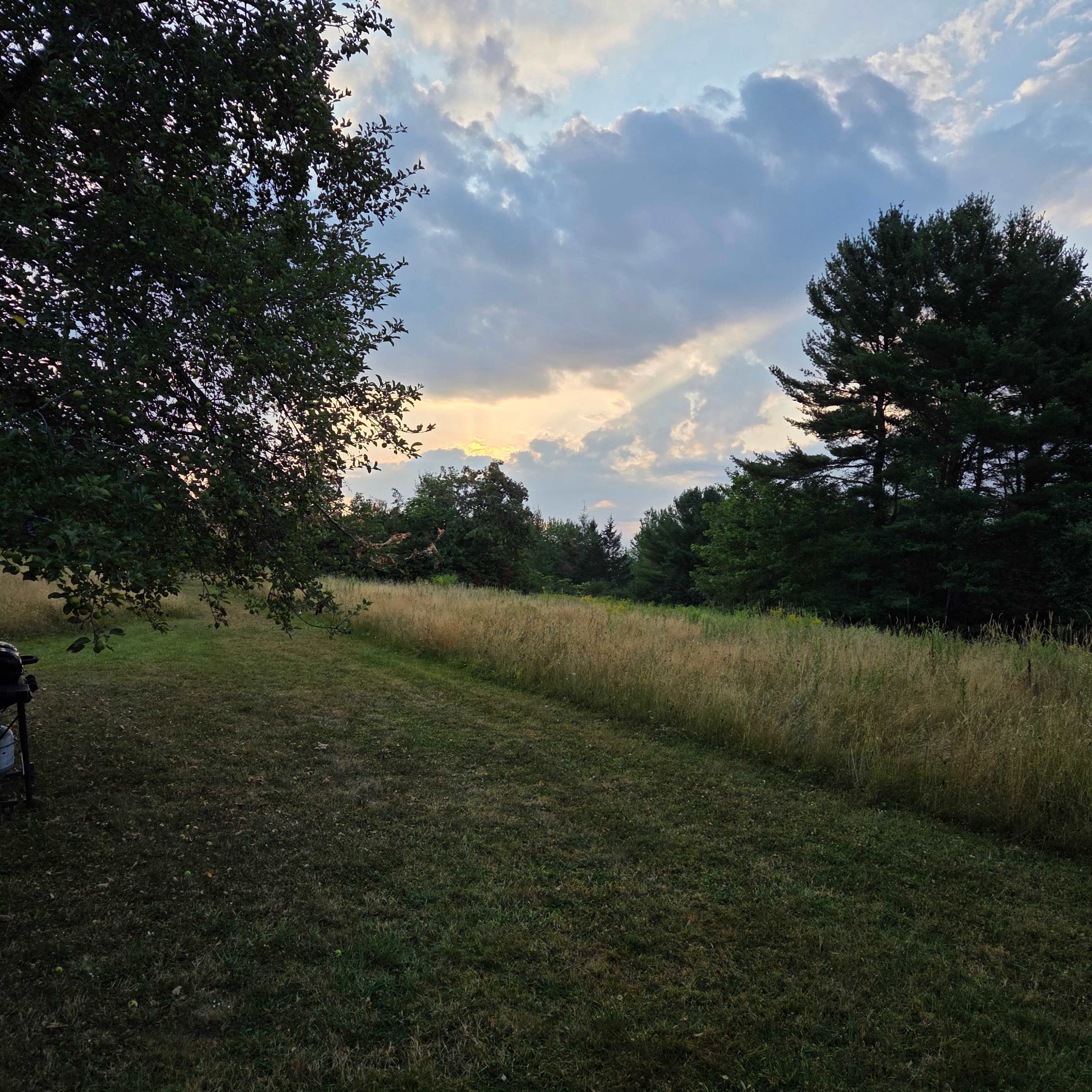 Graham Cracker Cabin and Campsites
