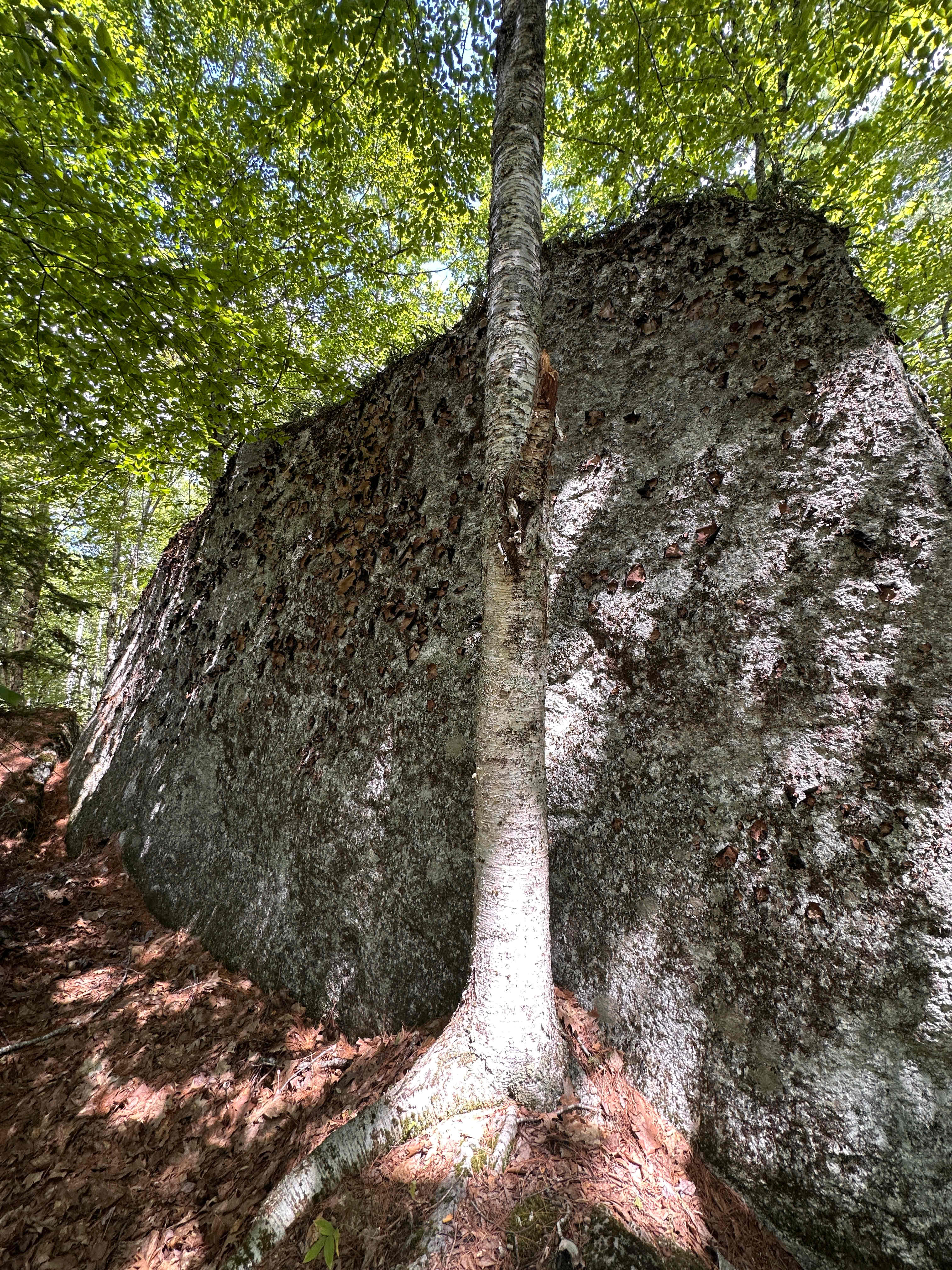 Private Campsite w Lake option