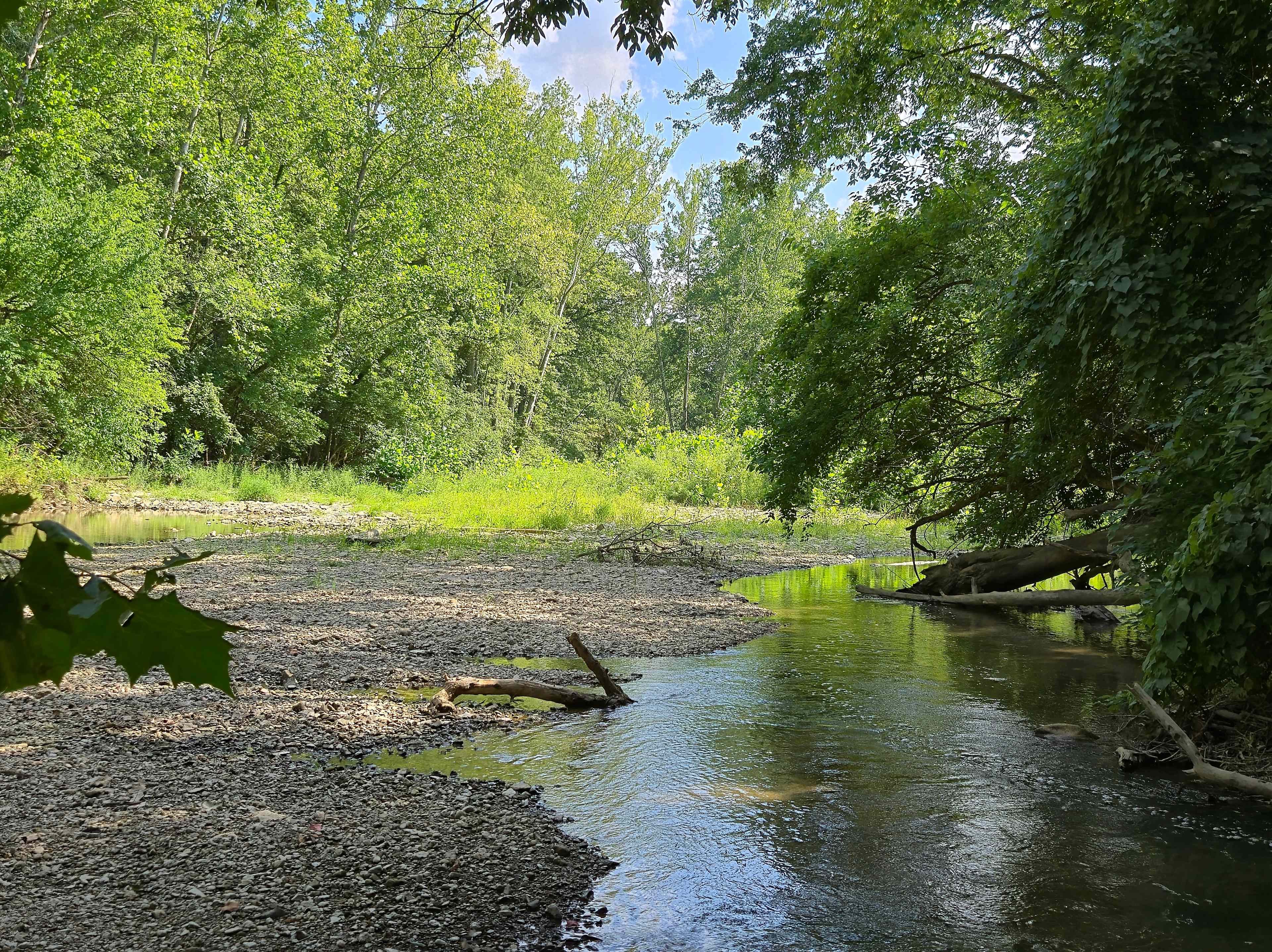 Quiet Creek Valley