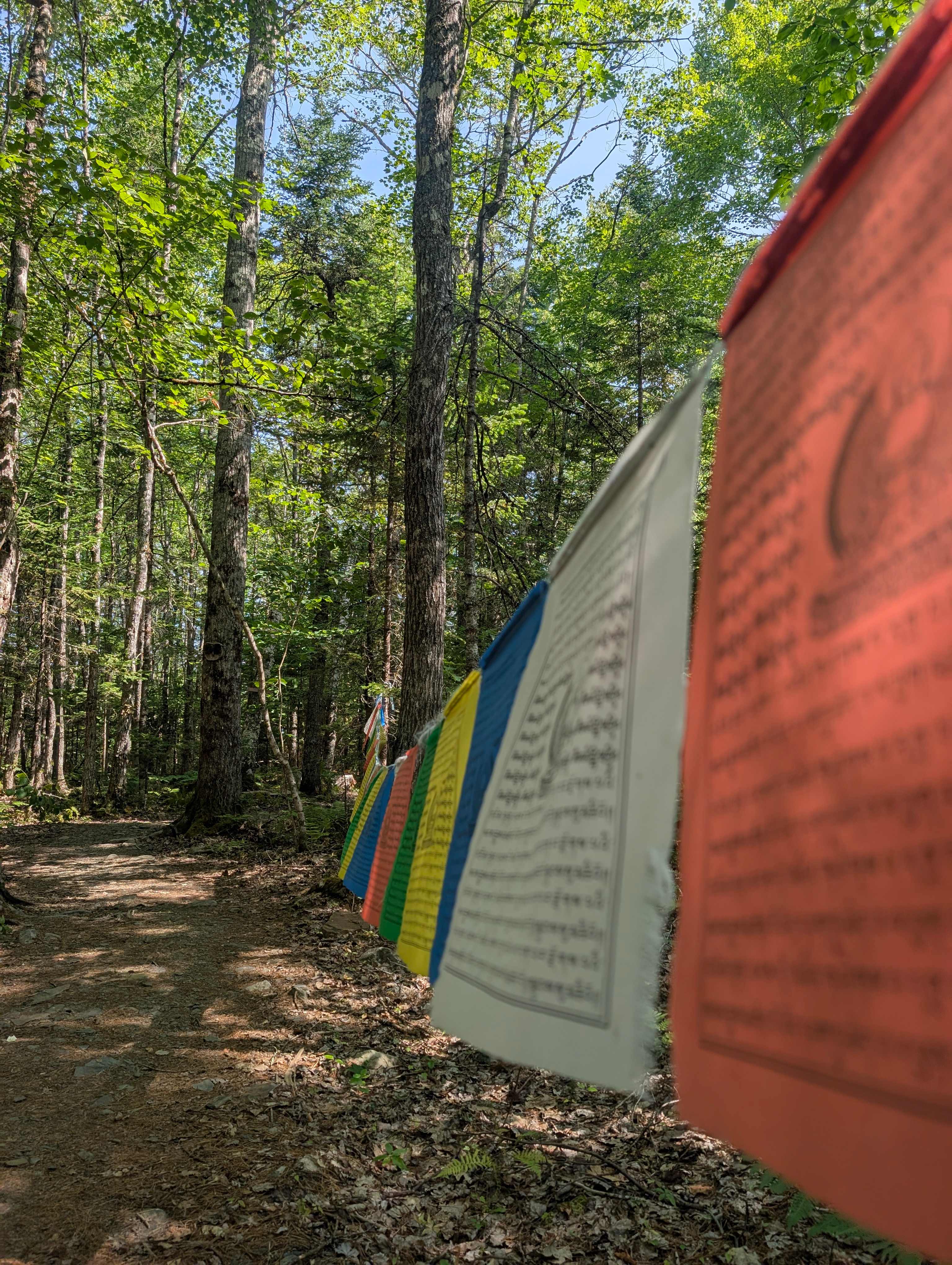 Owl's Hollow Eco-Therapy Glamping