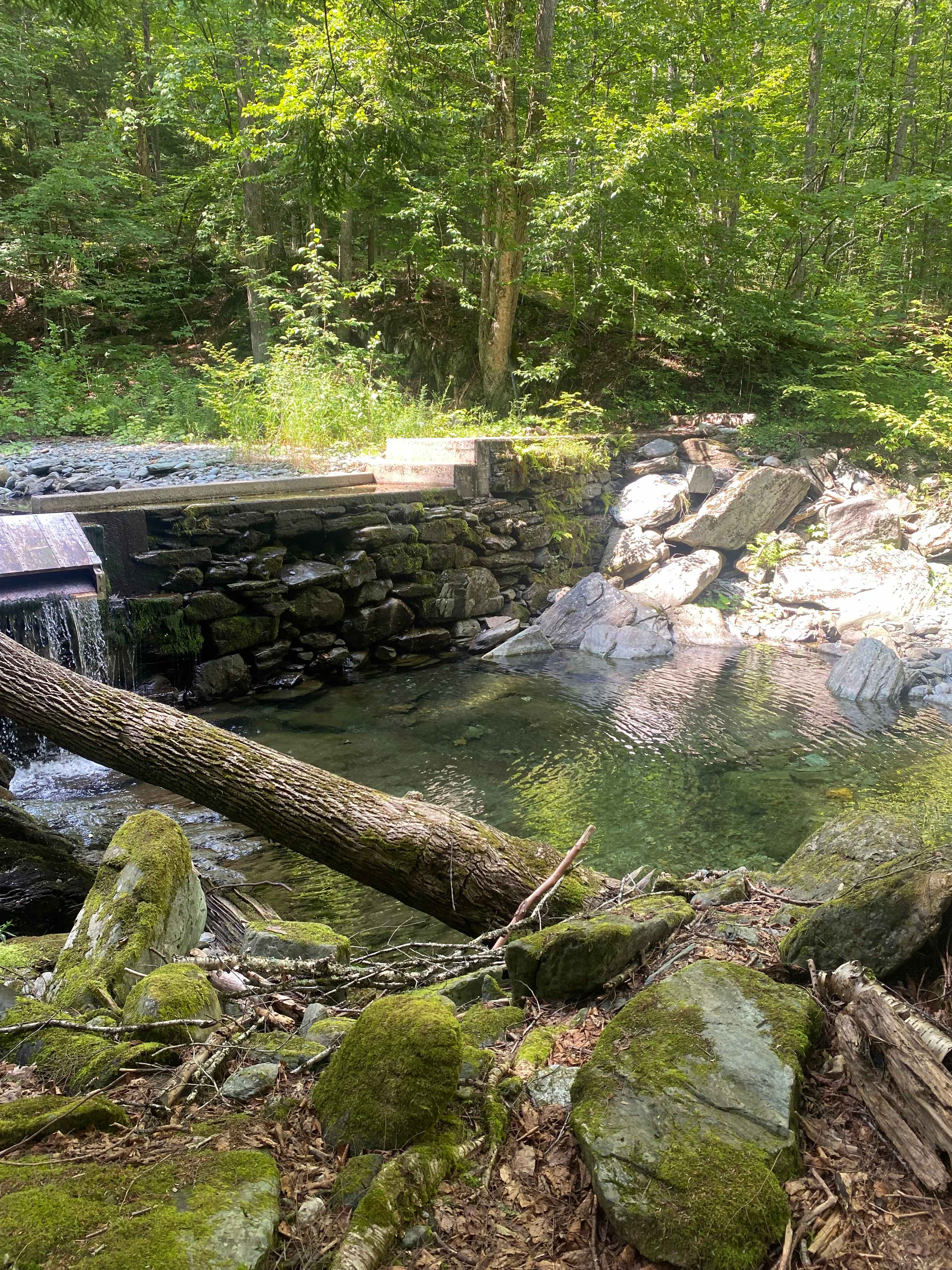 The Hollow at Dynamite Falls