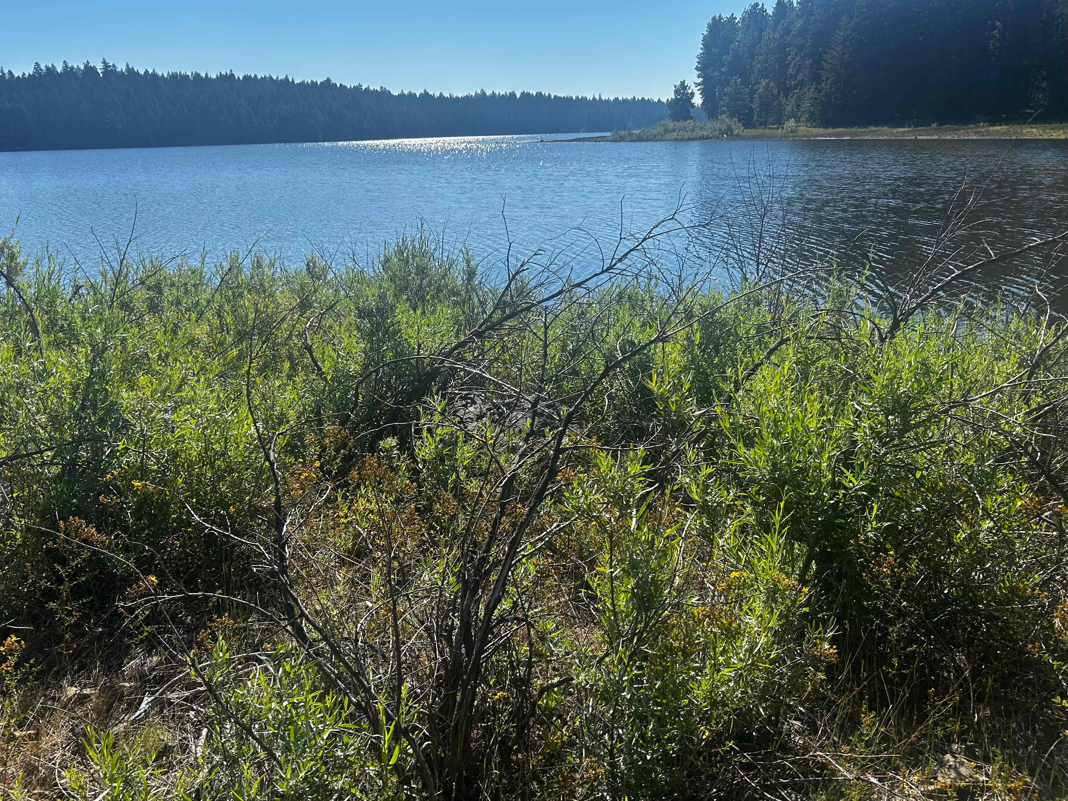 Gorgeous Lakeside Lodgings + Sauna