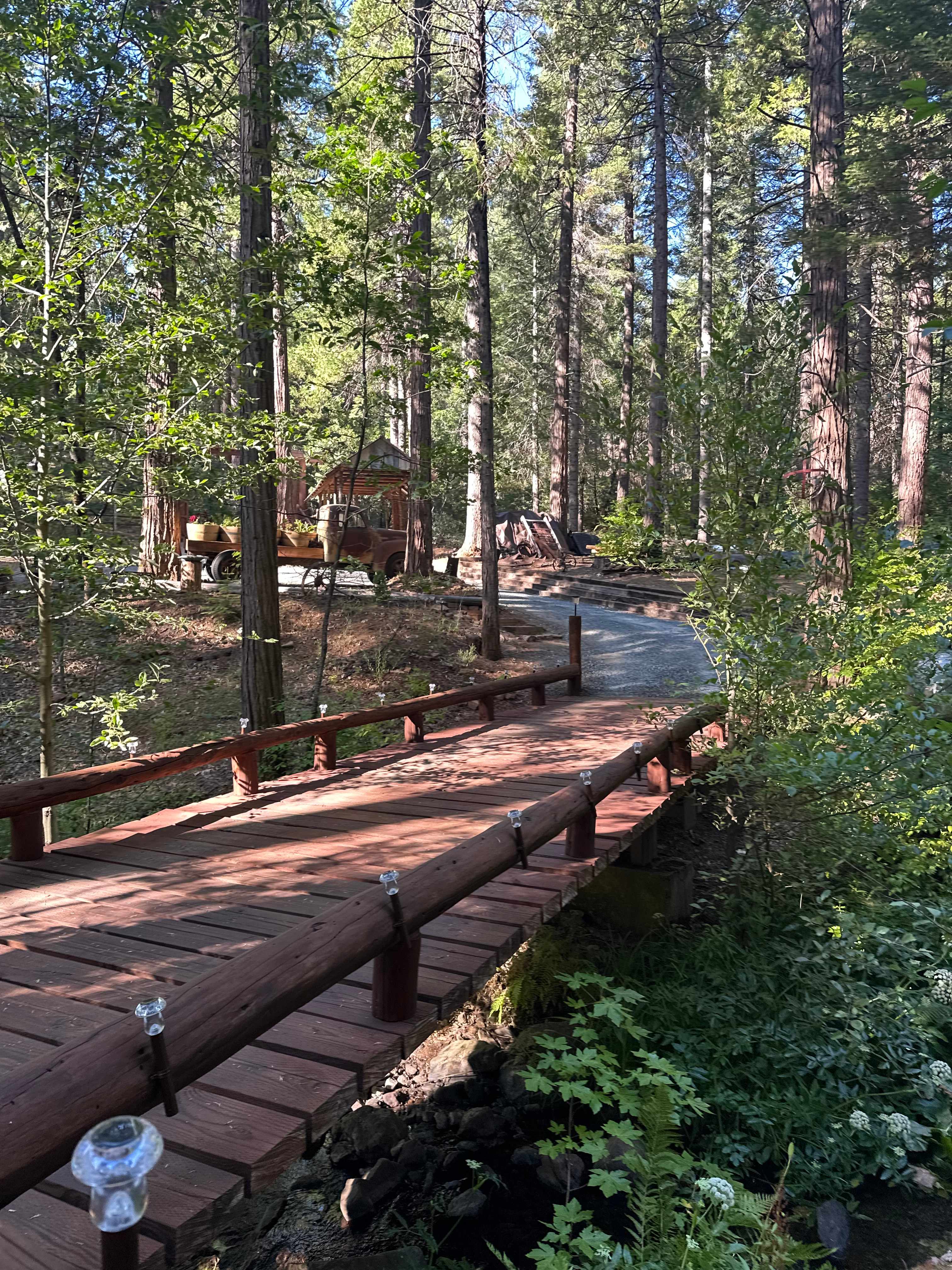 Creekside Camping on Love Creek