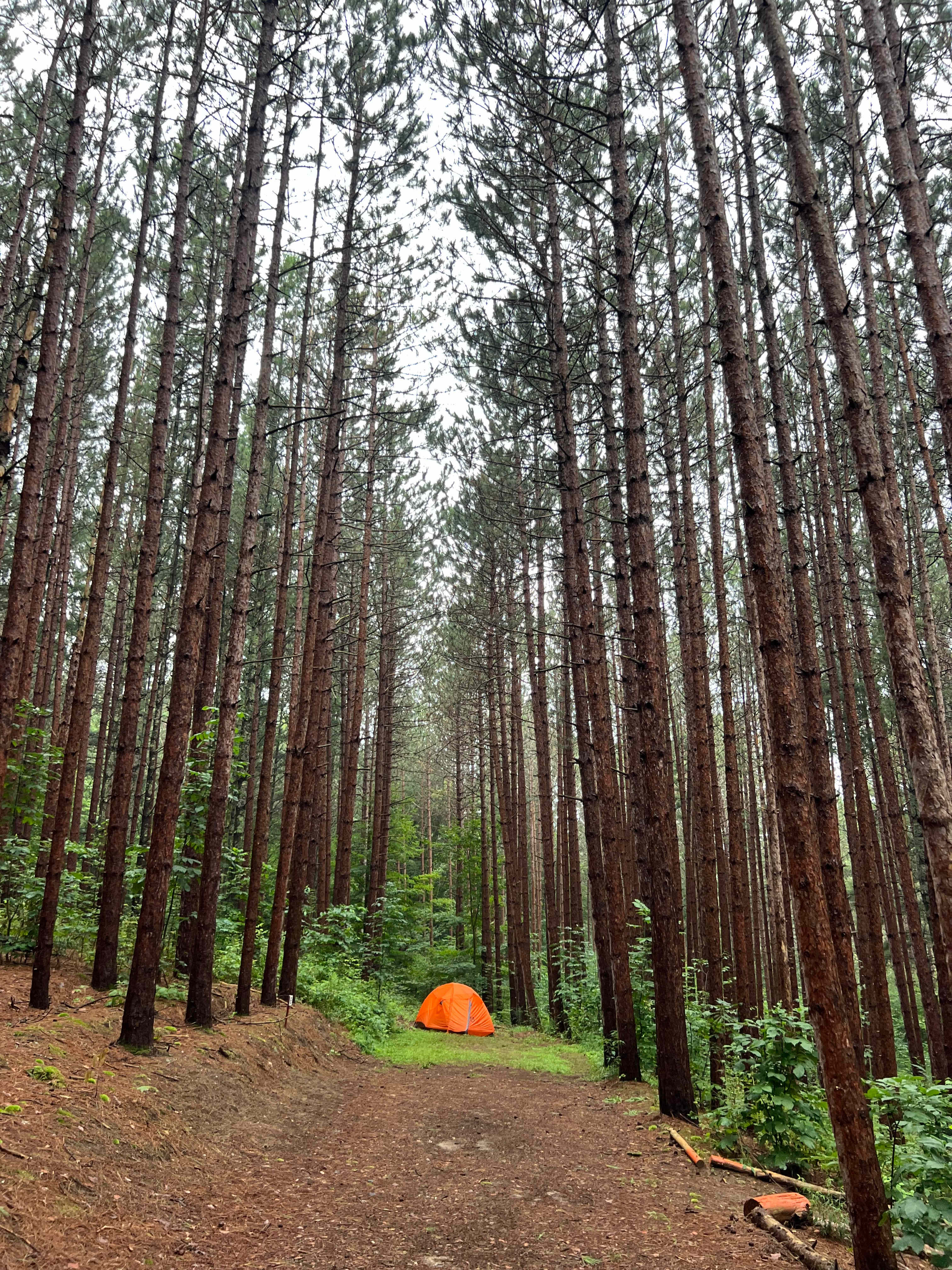 Camp Moonshadow