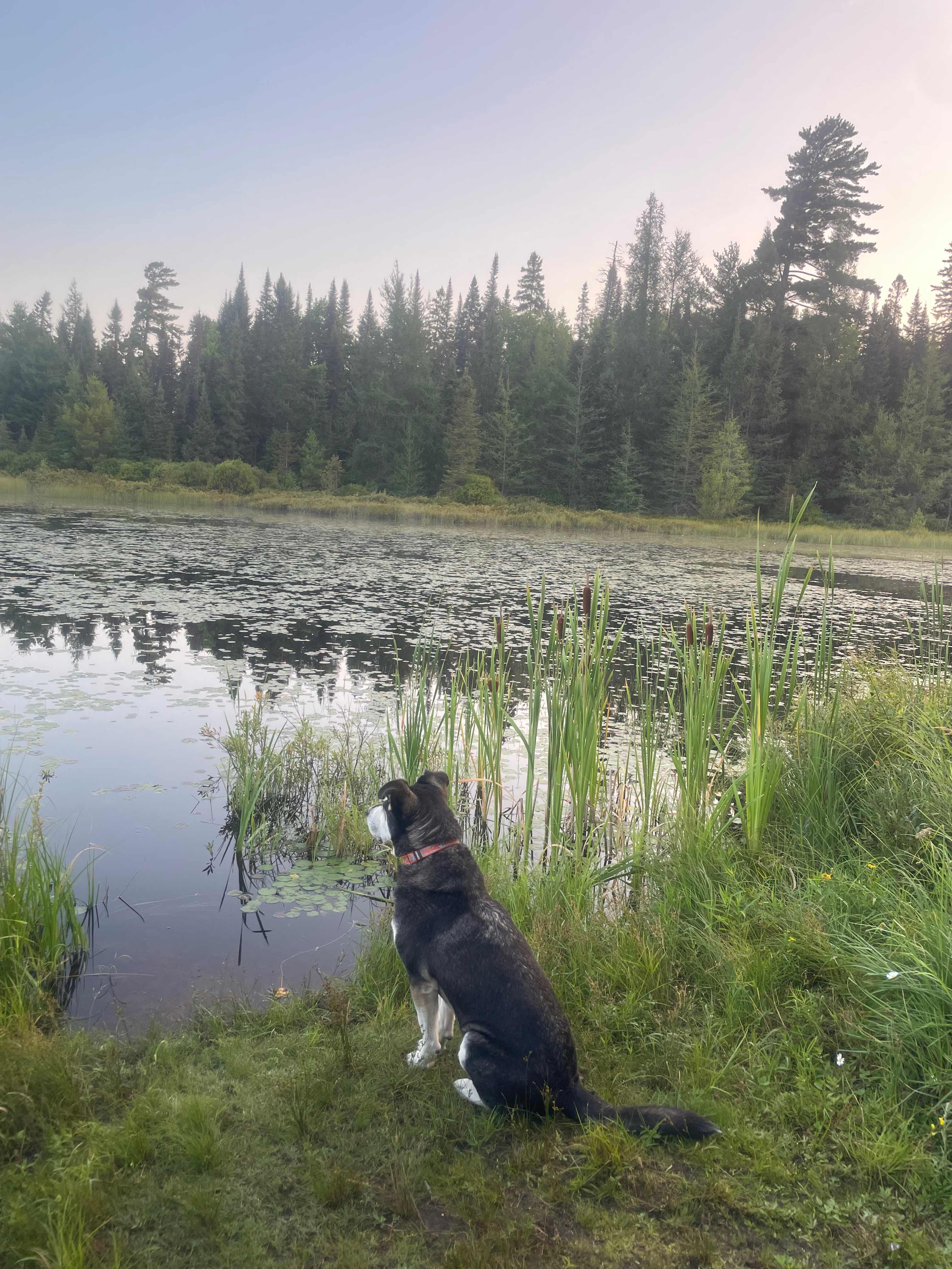 Watching for wildlife at the boat launch. 