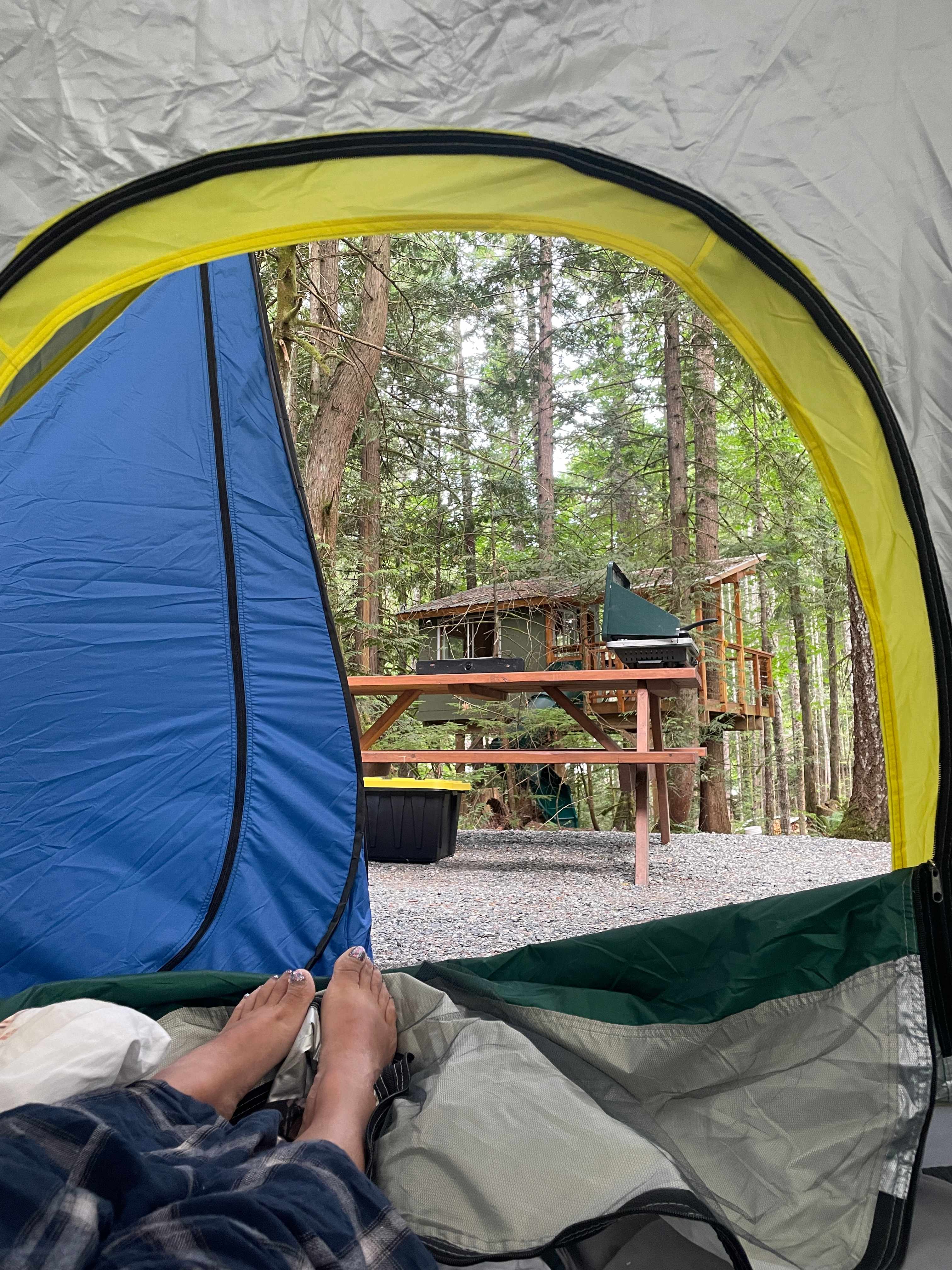 Forest Hideaway