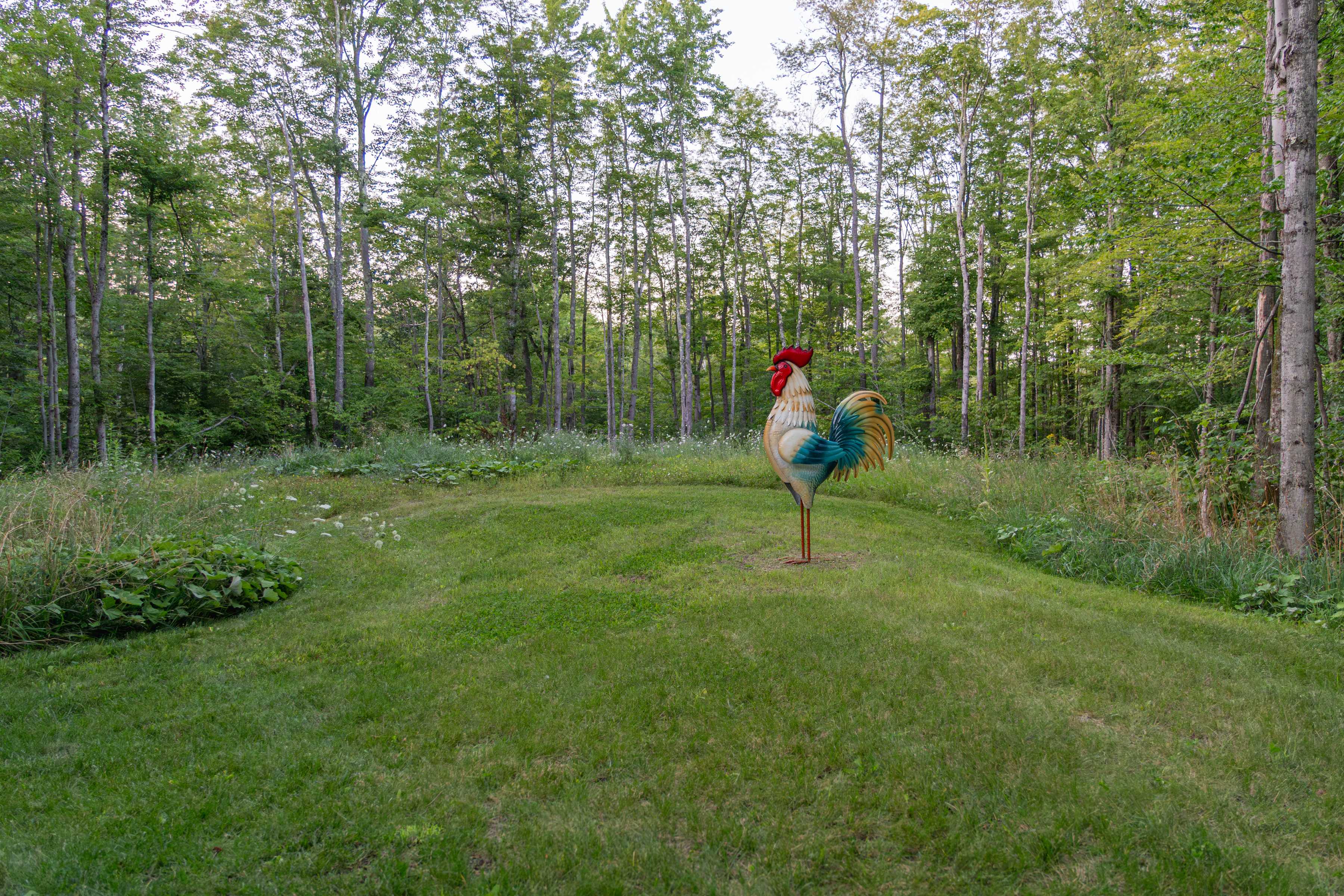 Great spot to relax in the grass with a guitar