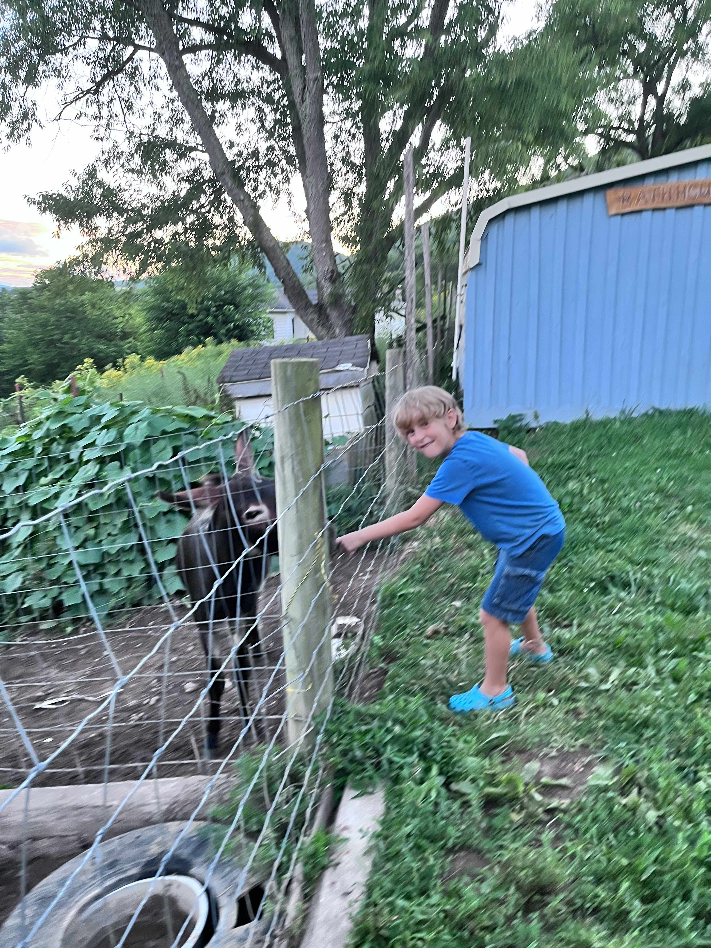 Way Up Acres and Lodging