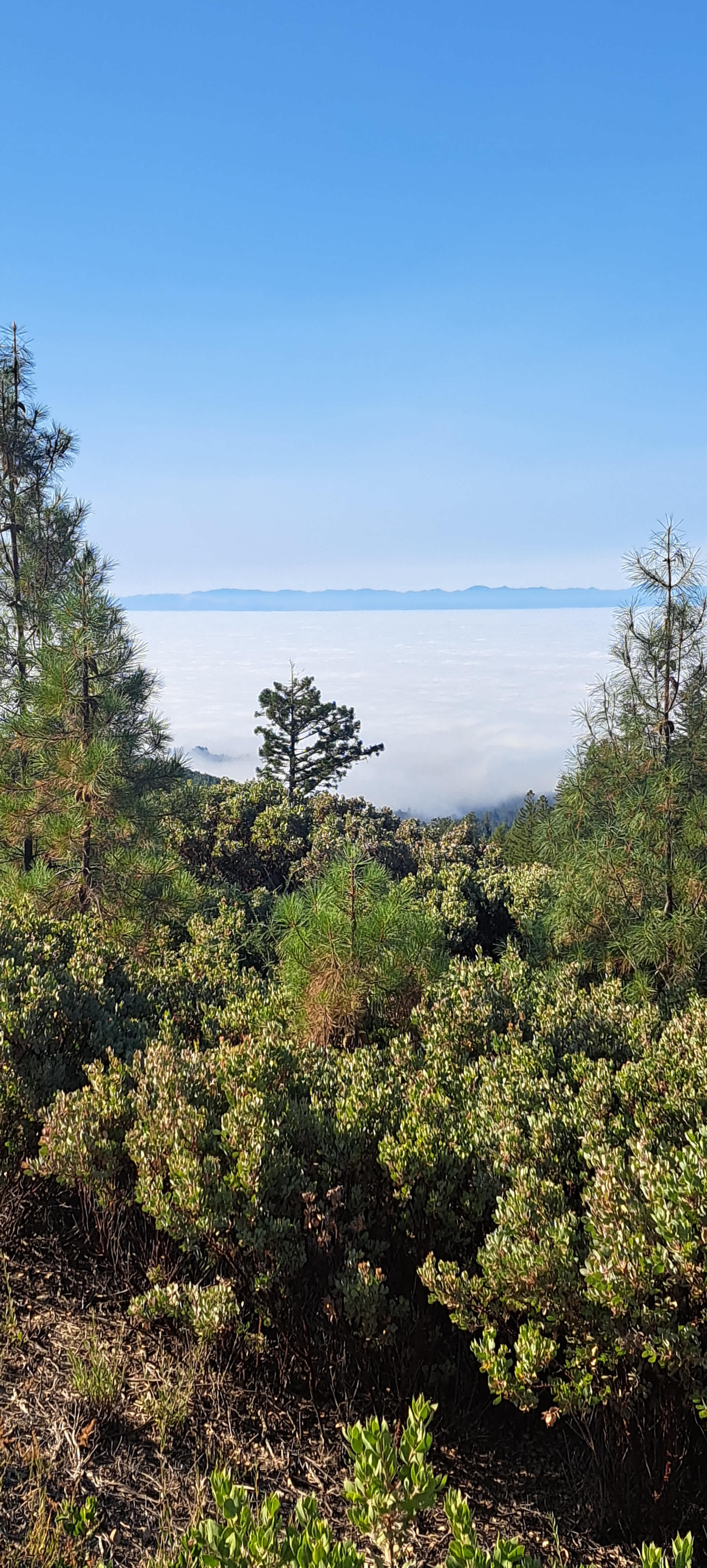 Sunrise and Moon Rise Valley View
