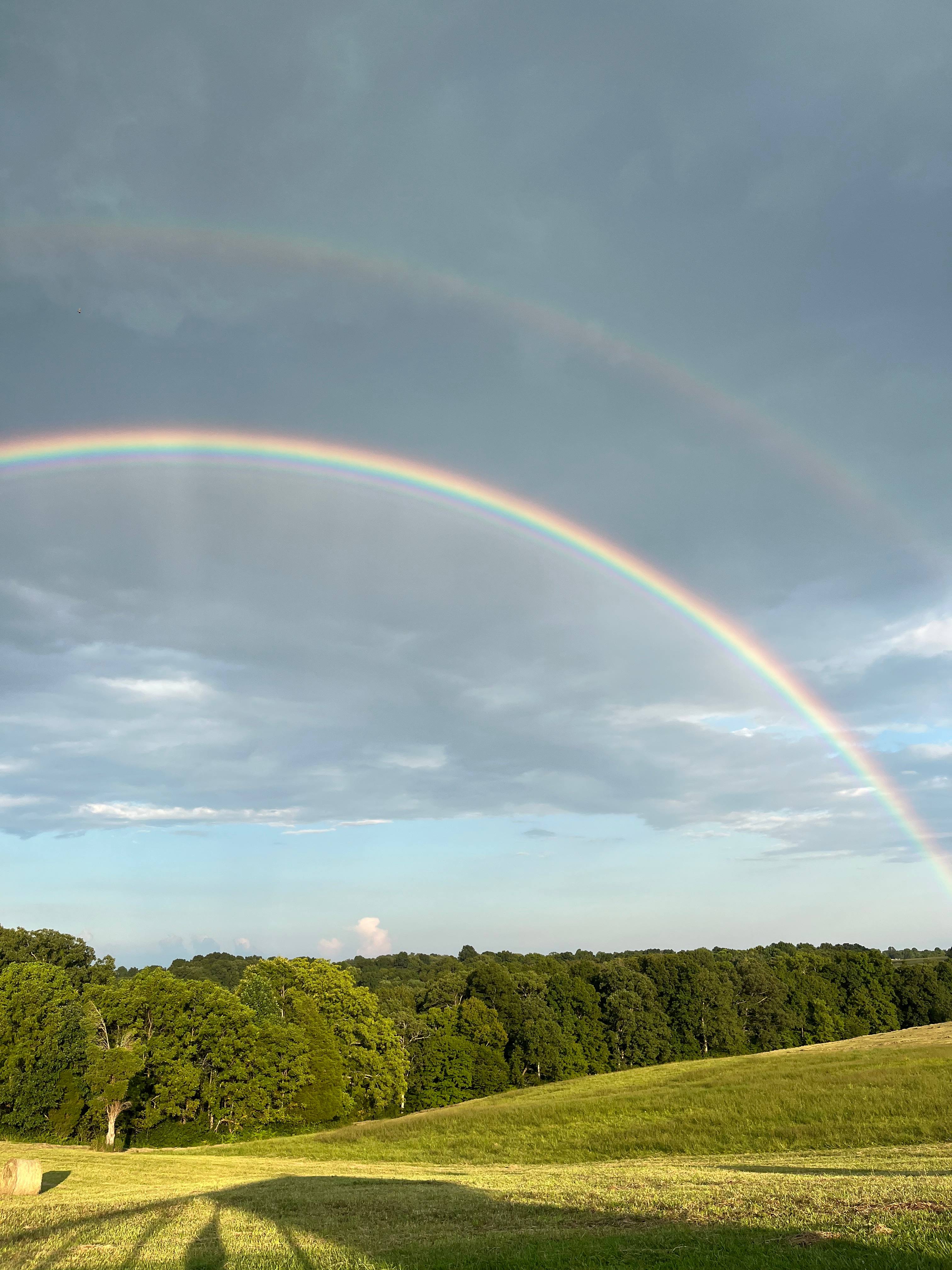 Hill Springs Campground