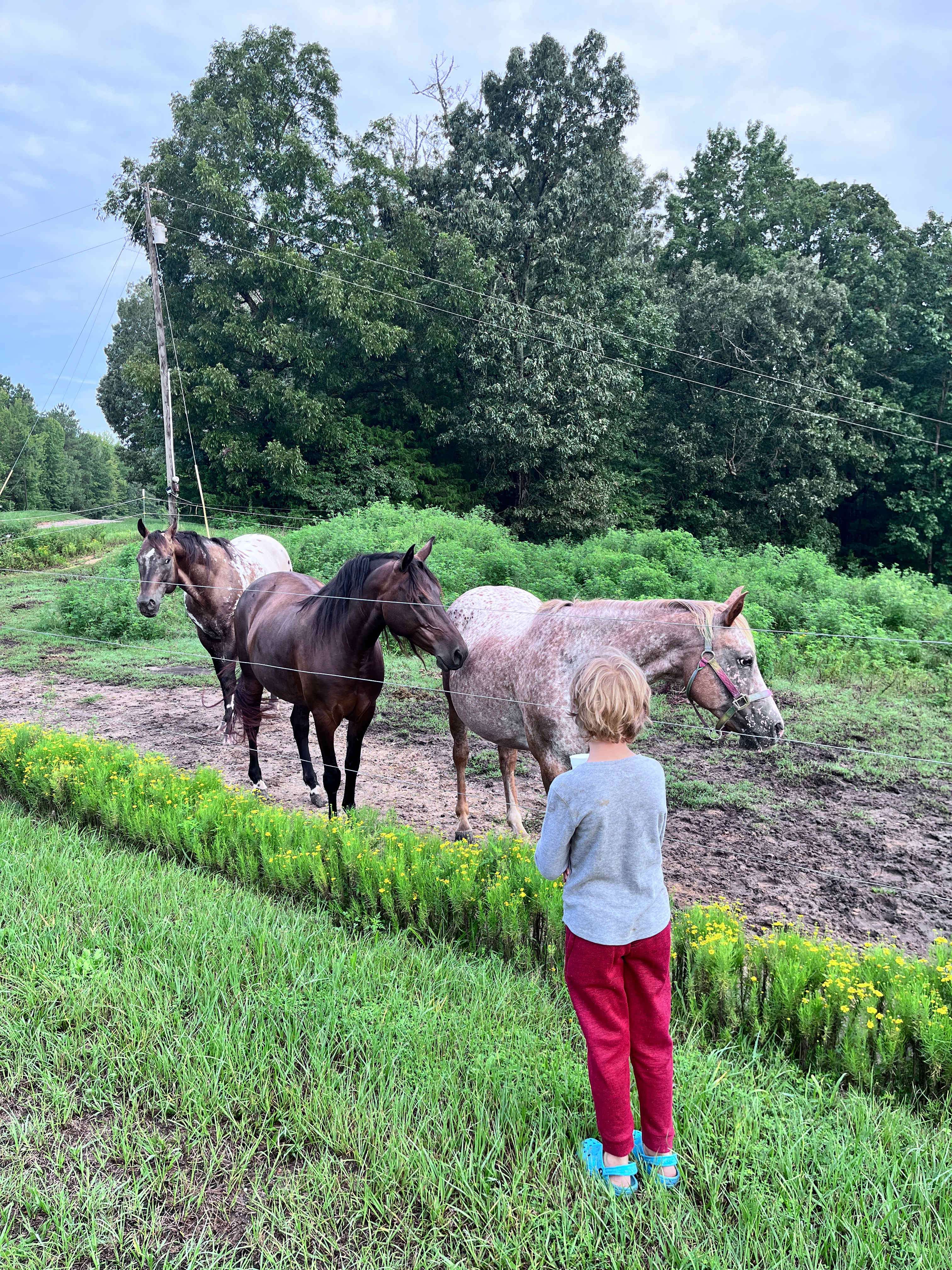 Rosewood Farm and Agripark