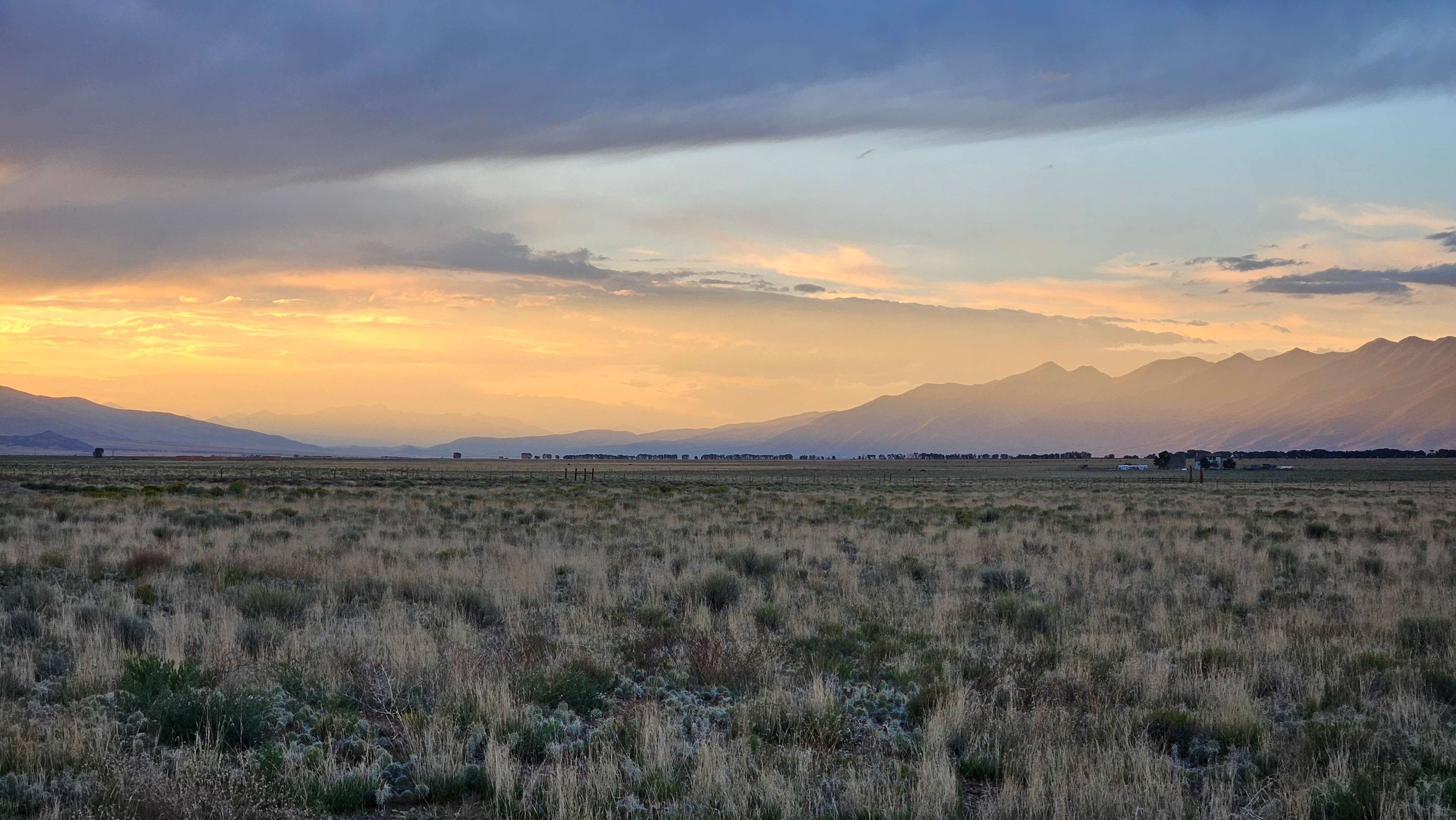 Mountain Bird Alpine Desert