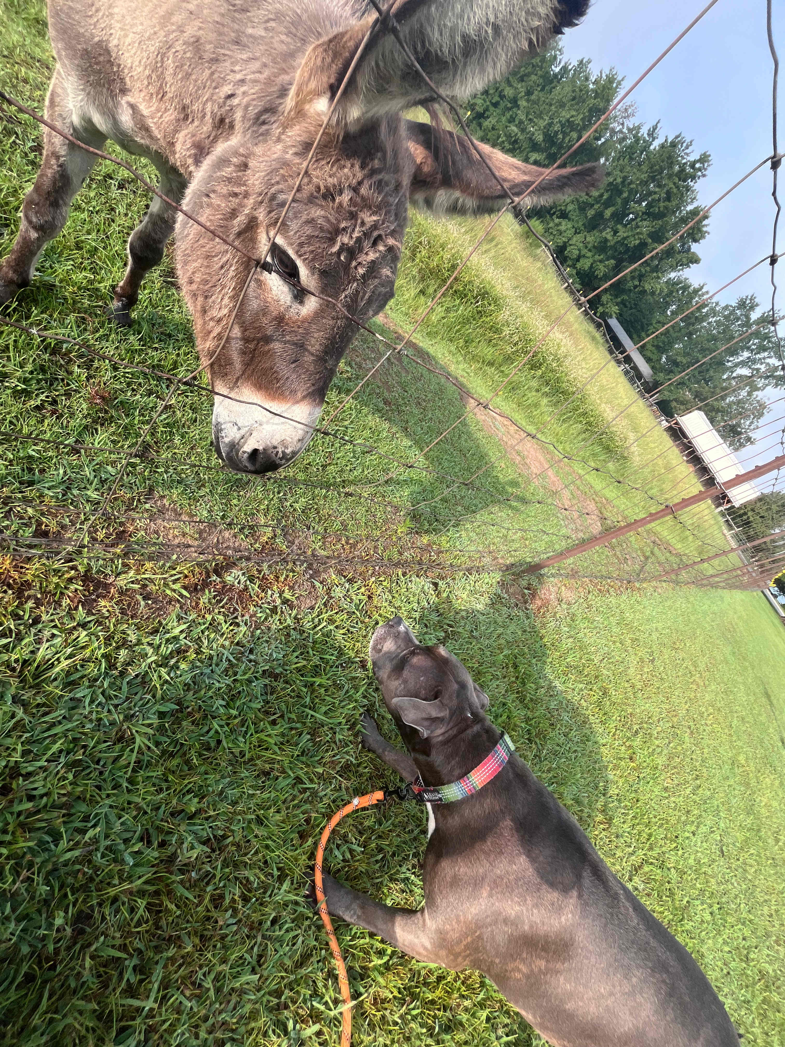 Moon Lake Farm - Camp, Fish, Relax