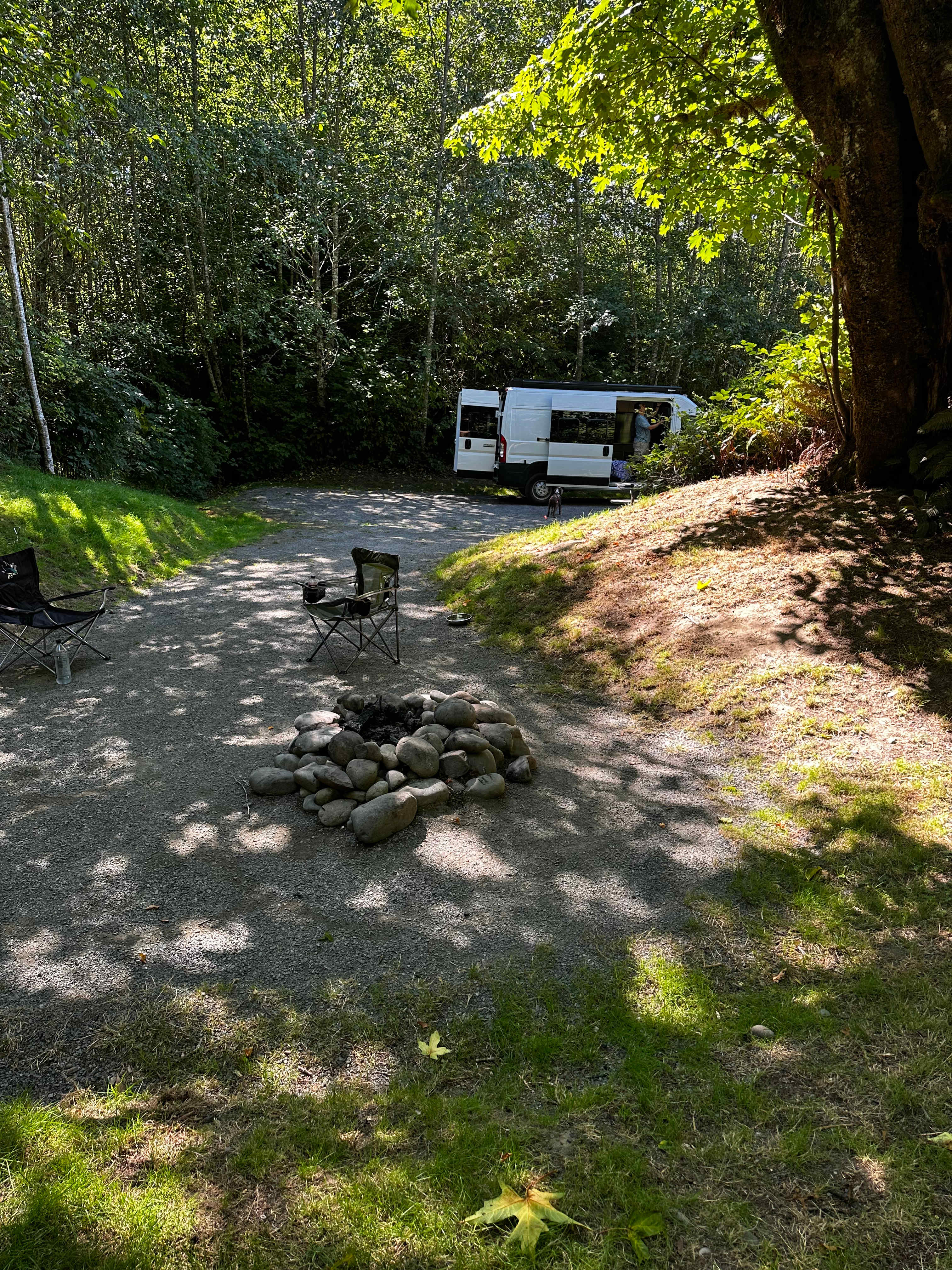 Site 5 has a private fire area, dappled shade, at the back of the site to the right. 