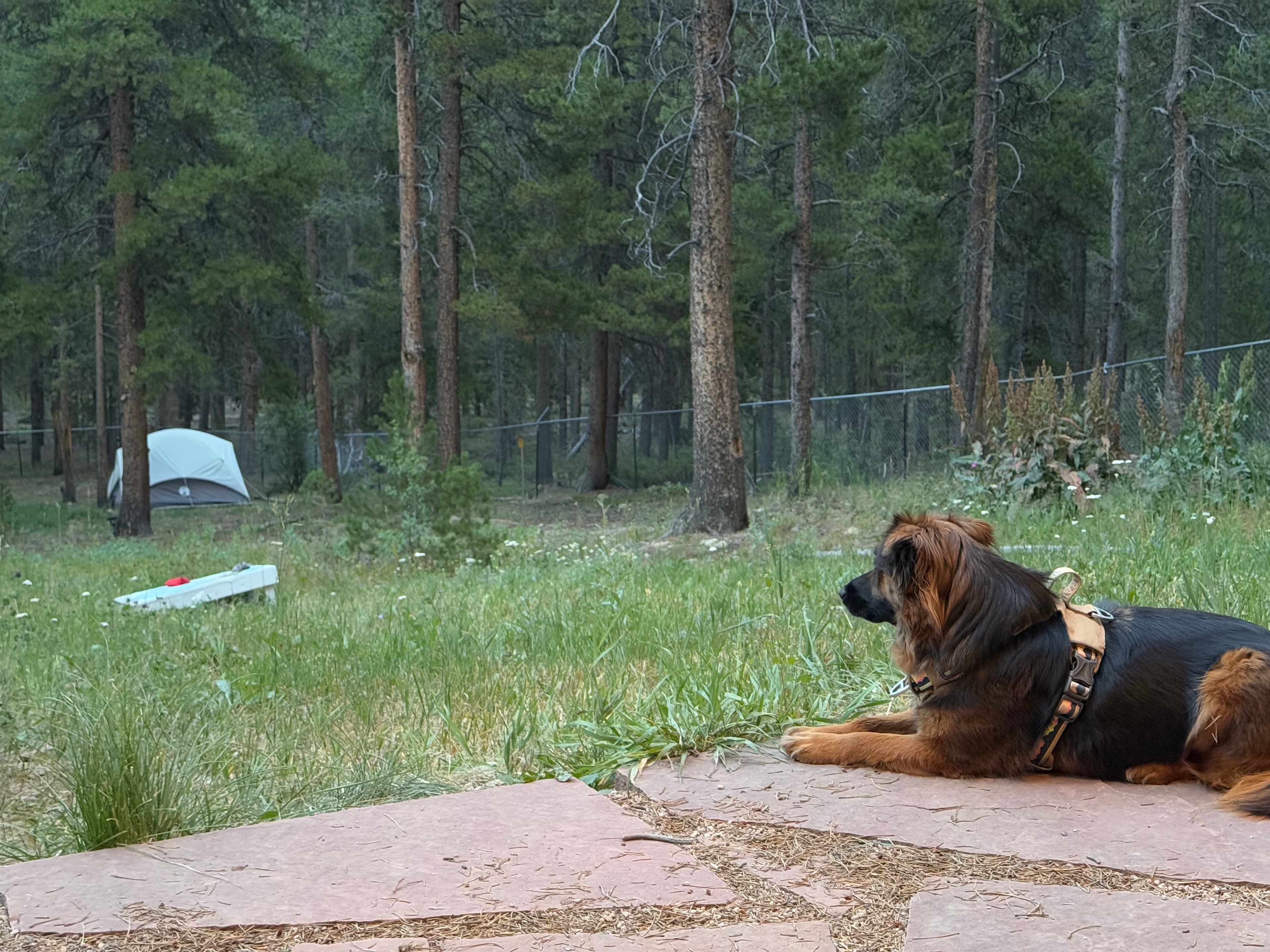 In the structure looking down to site 6