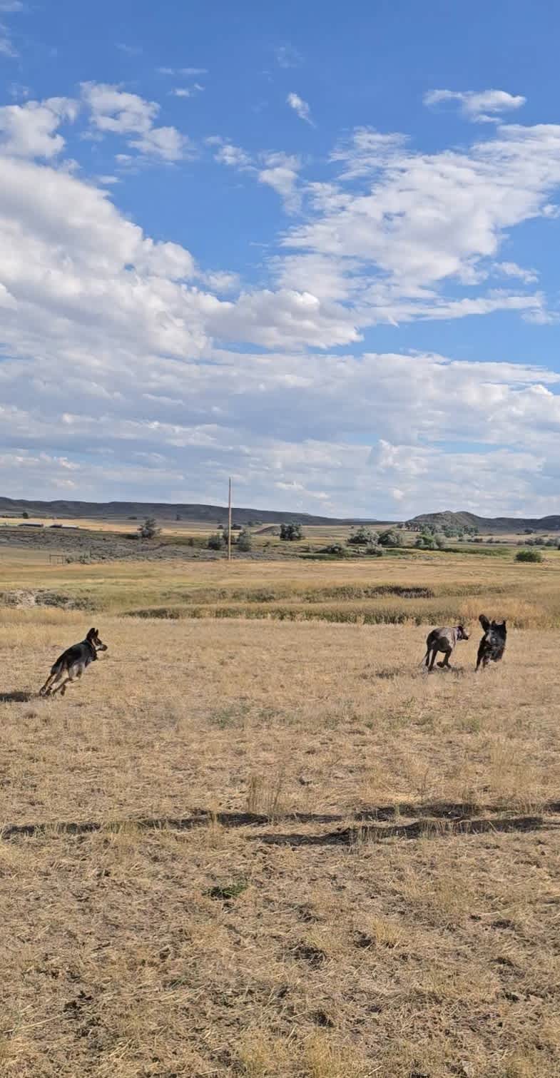 Little Ponderosa RV Camp