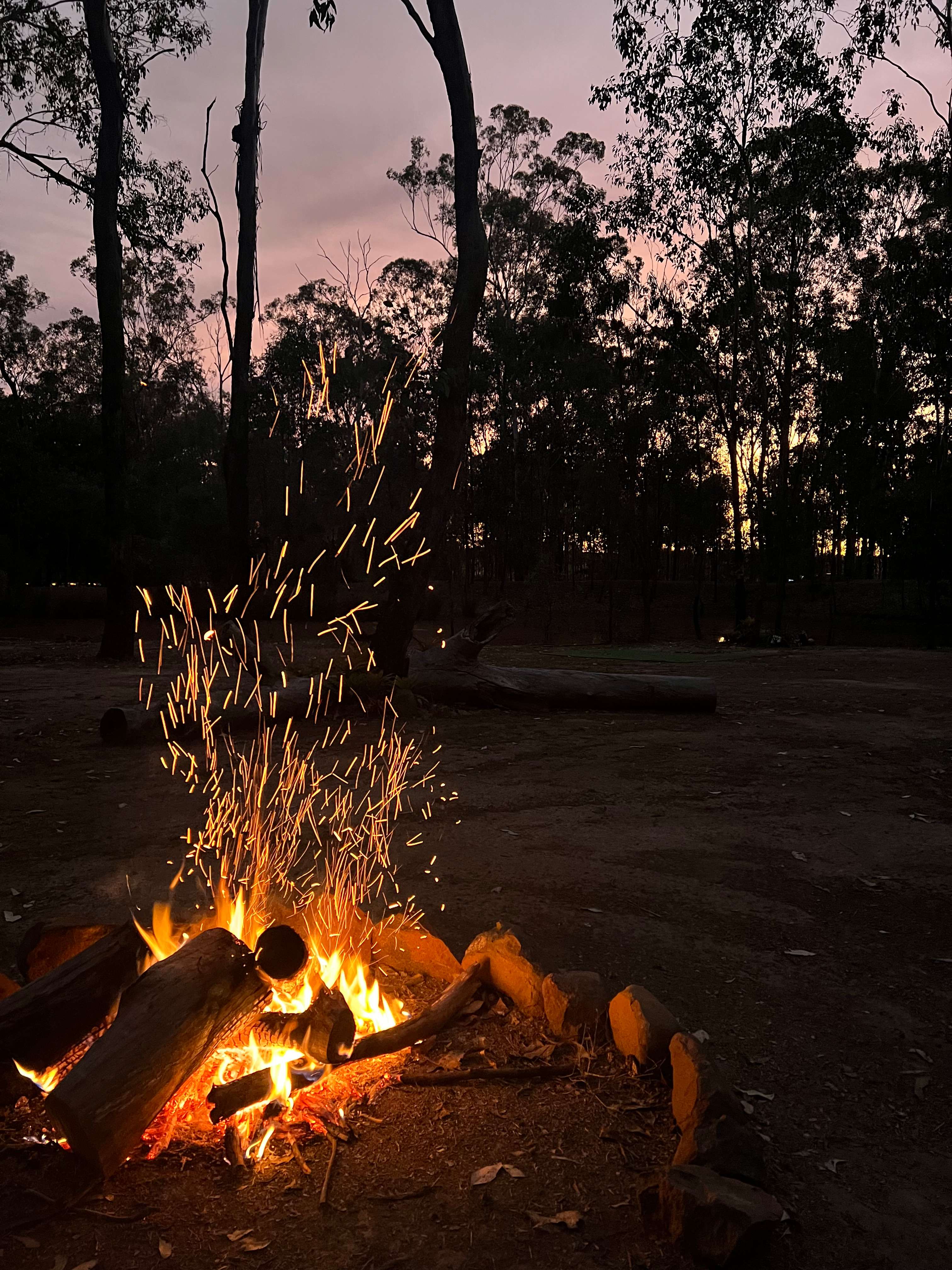 TLC - The Luke’s Compound