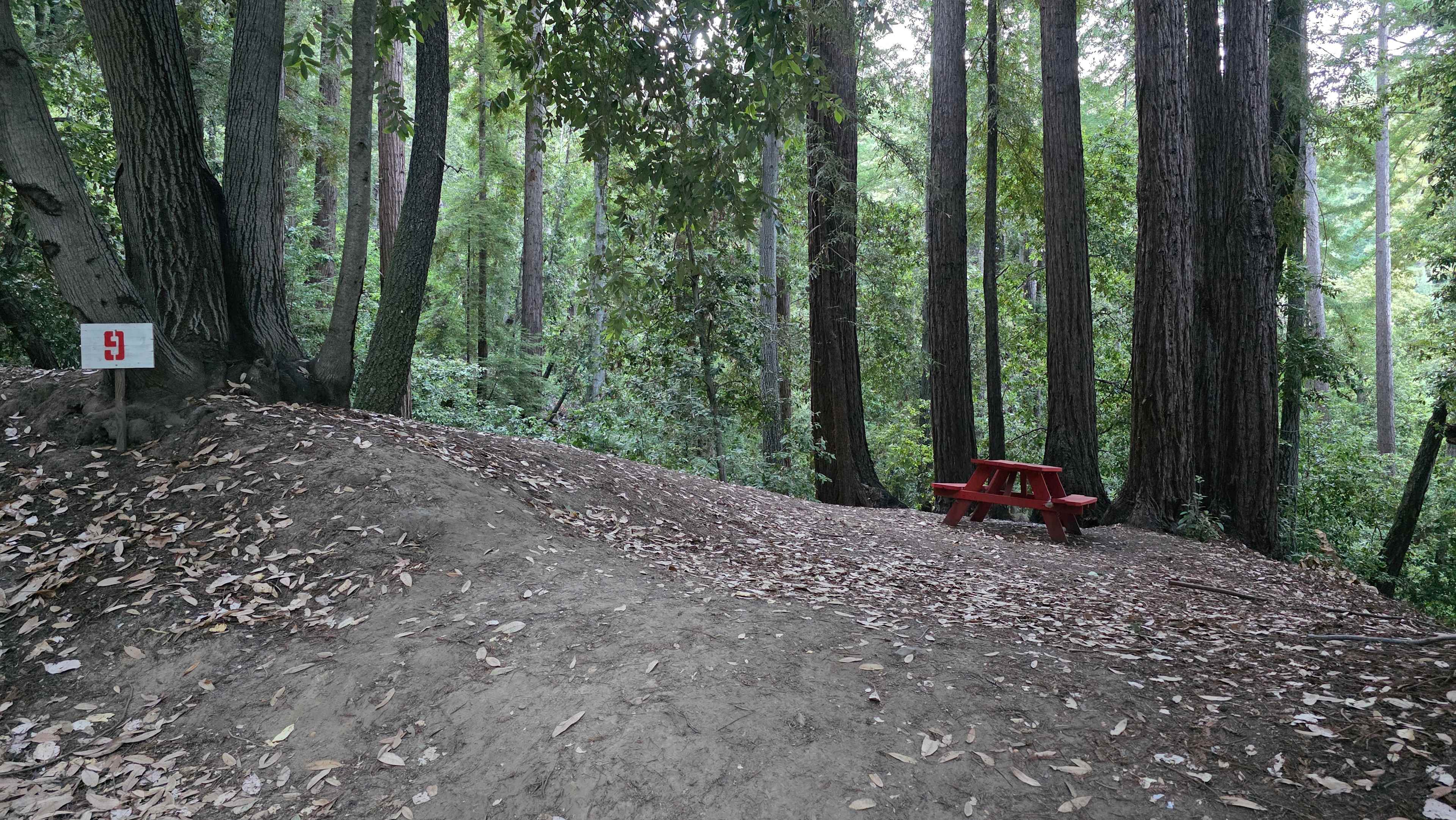 Shaded campsite. On a slope. I found a spot for 1 person tent. i recommend this site for hammock camping. you could rig 3 or more hammocks from that grove in front of the red picnic table. walking distance to bathroom. Site 5 is right across and visible.
