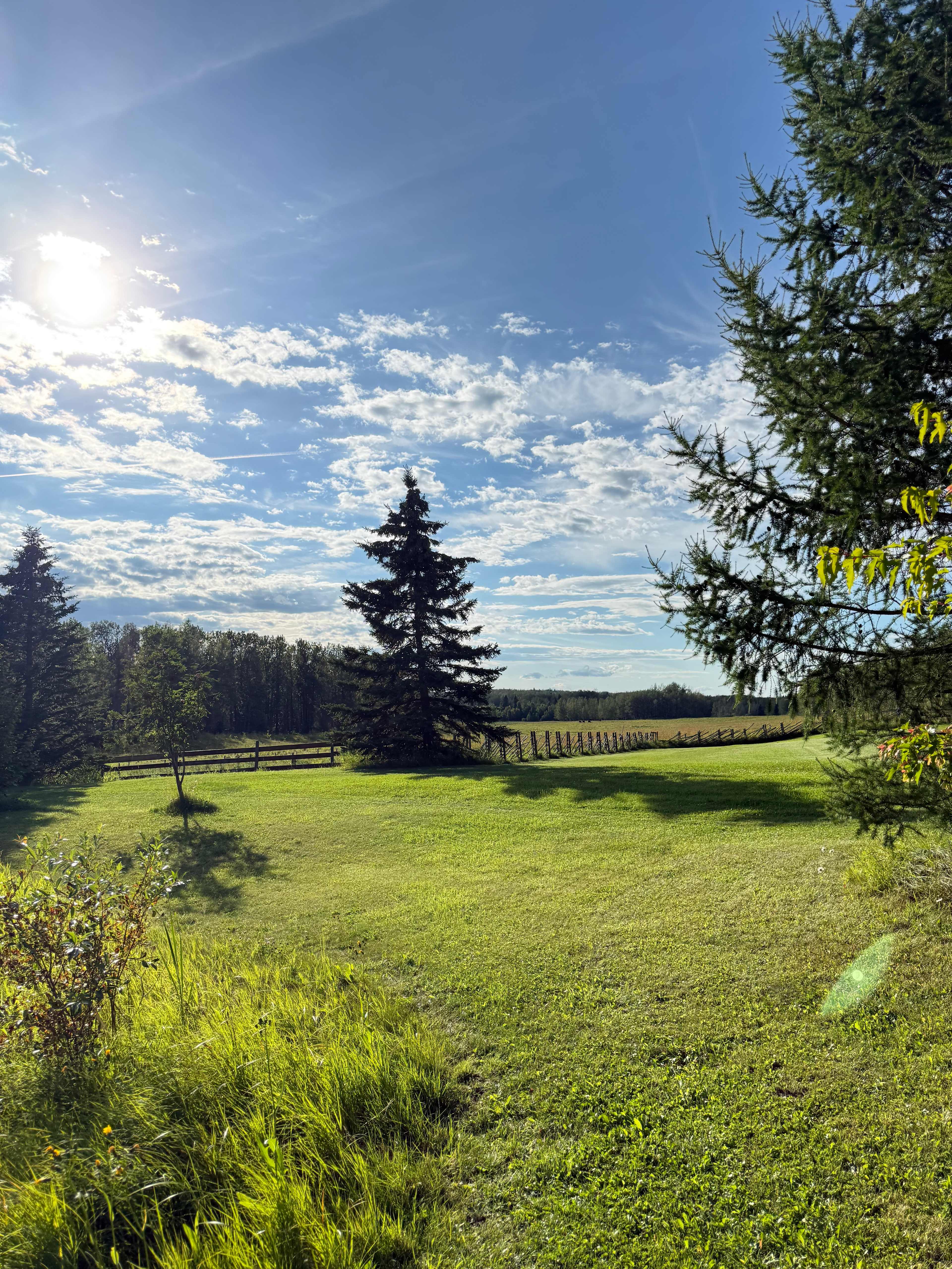 Hidden Springs Retreat & Guesthouse