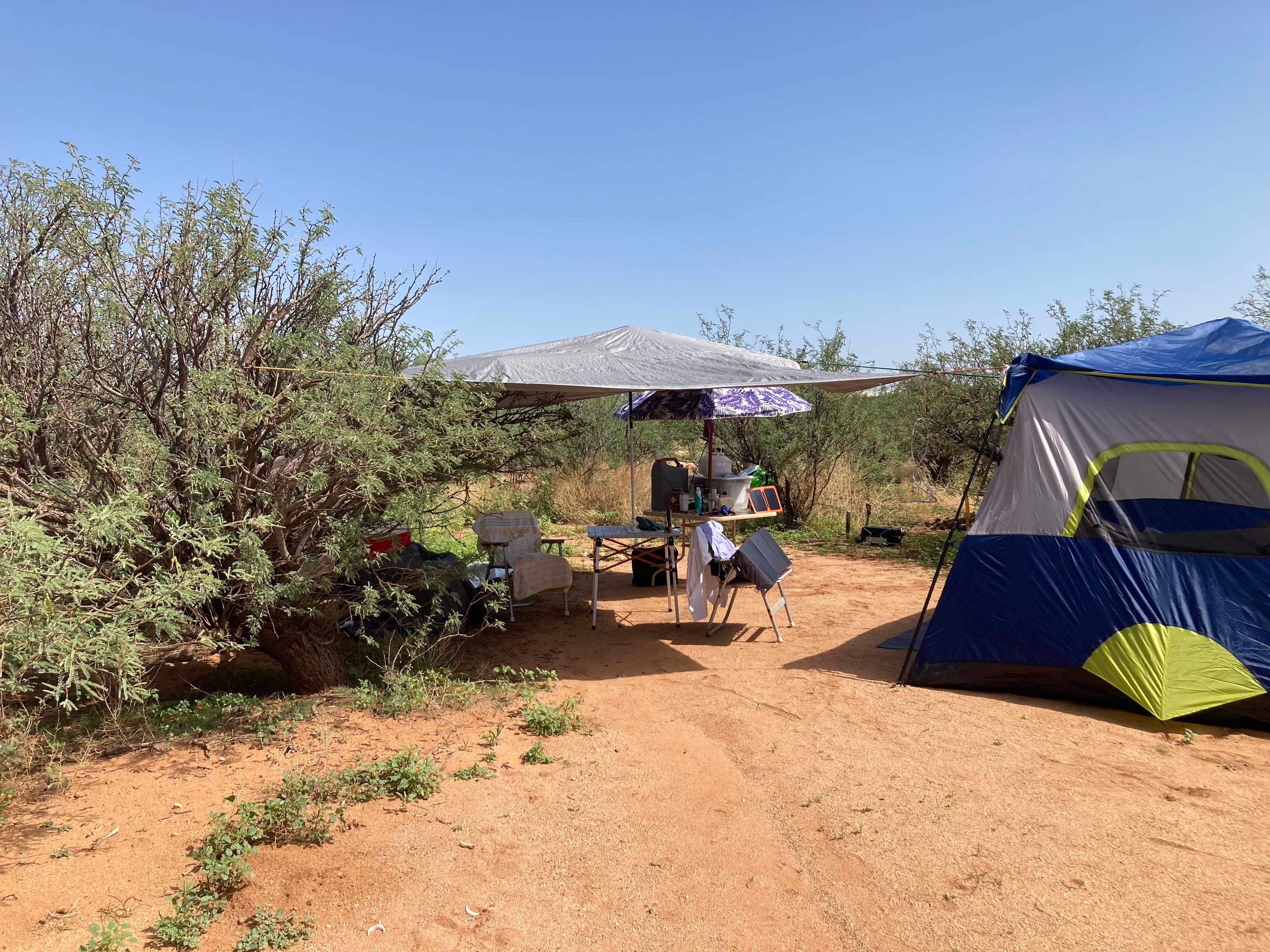 LeRoy & Paula's Alpacas