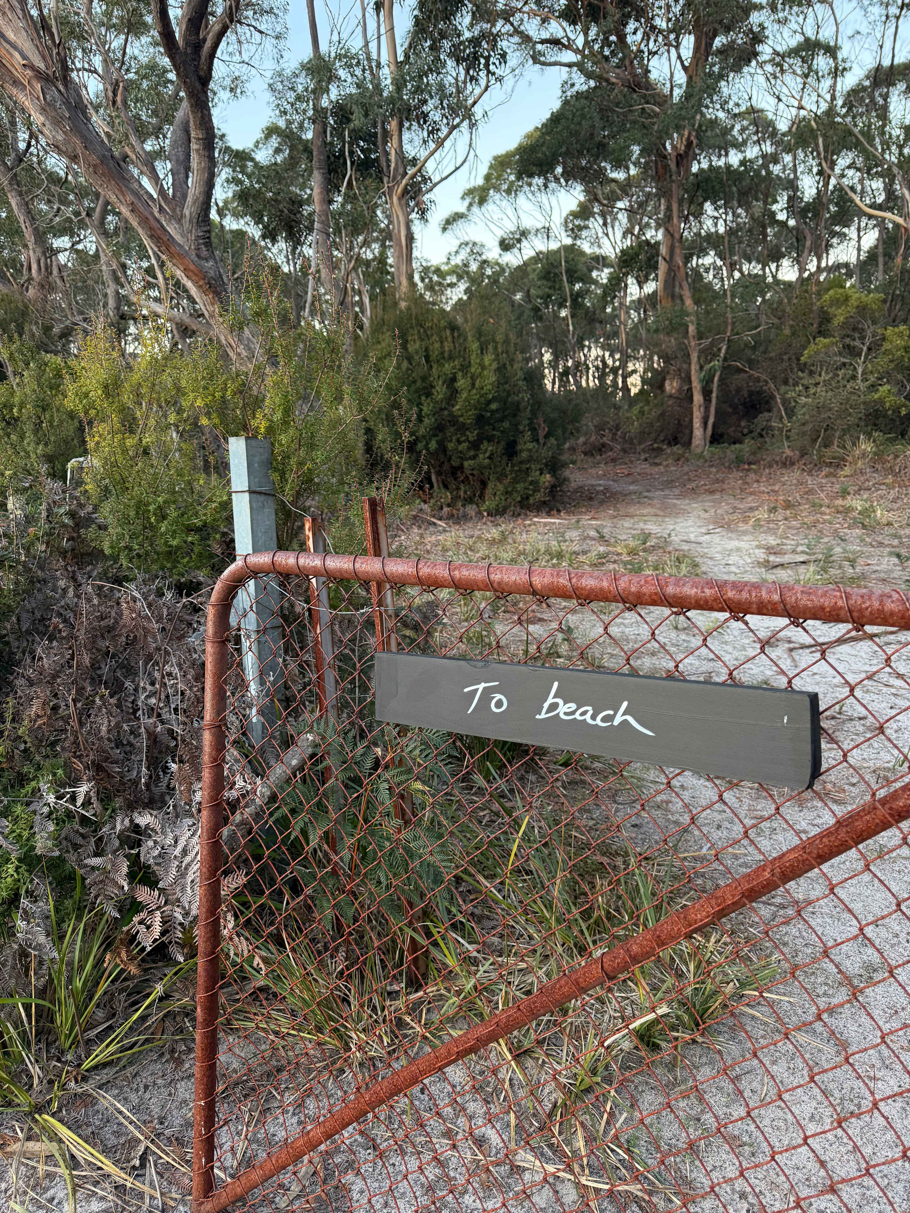 Bruny Island Long Neck