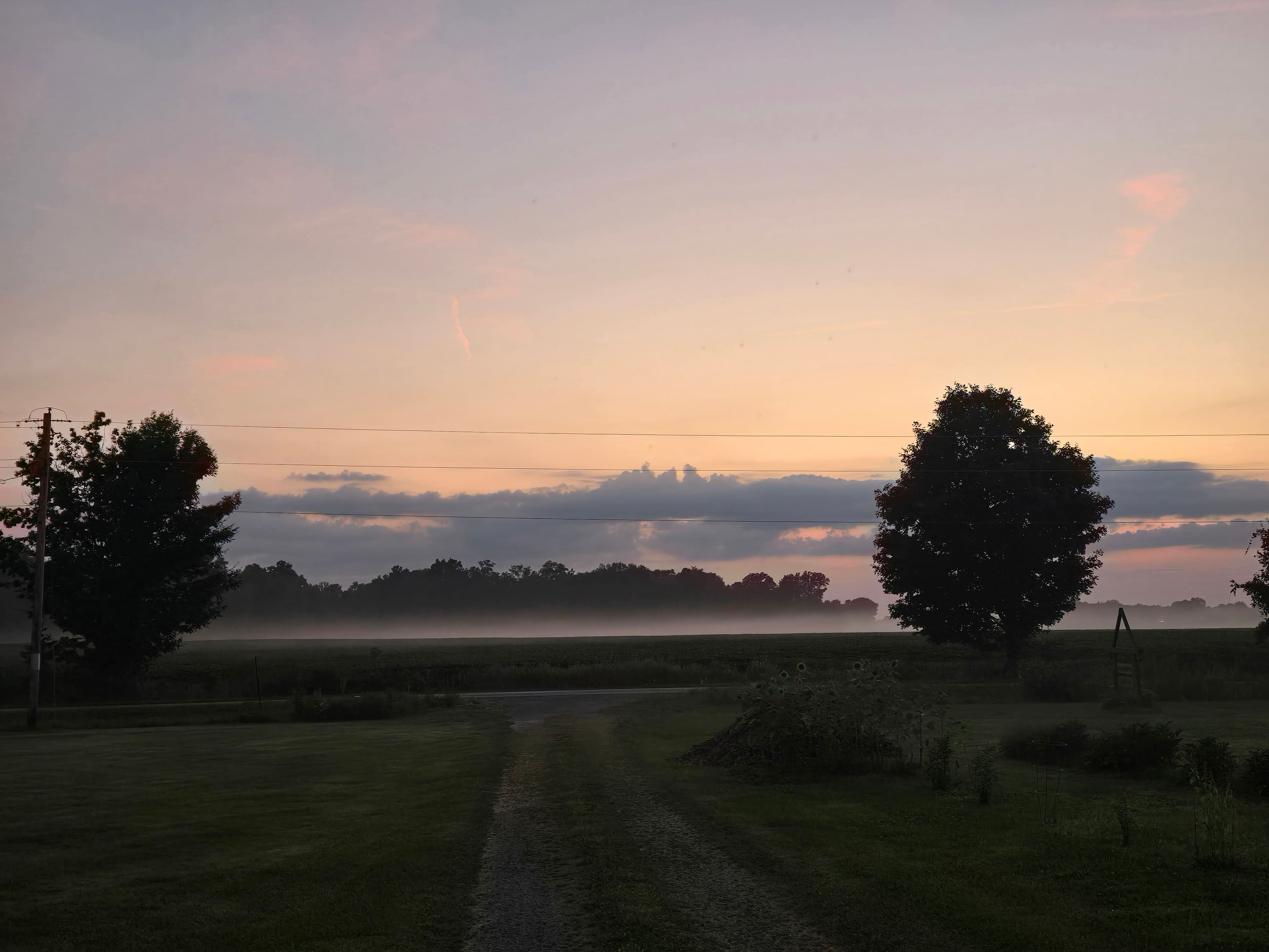 Grins & Pickin's CampFarm