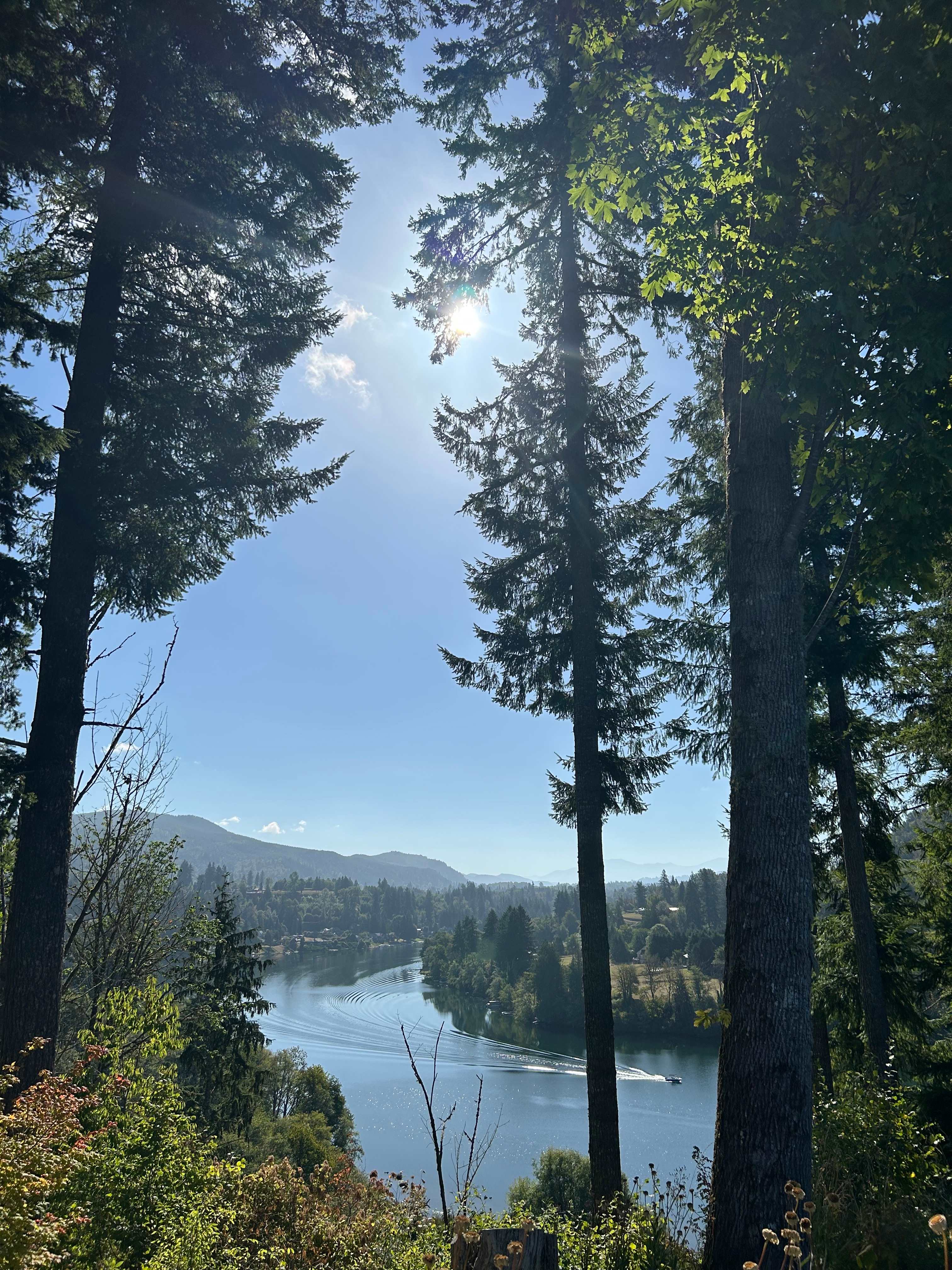 The Lookout at Mayfield Lake