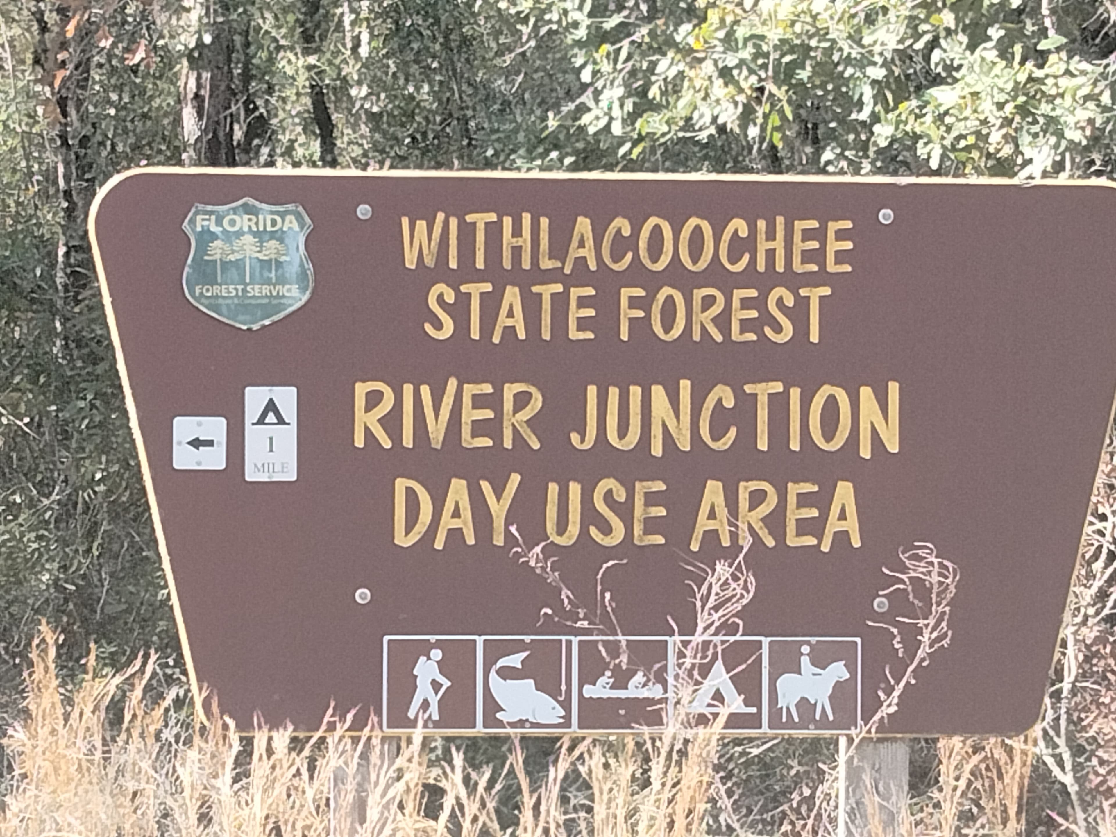 The Inn At The Forest