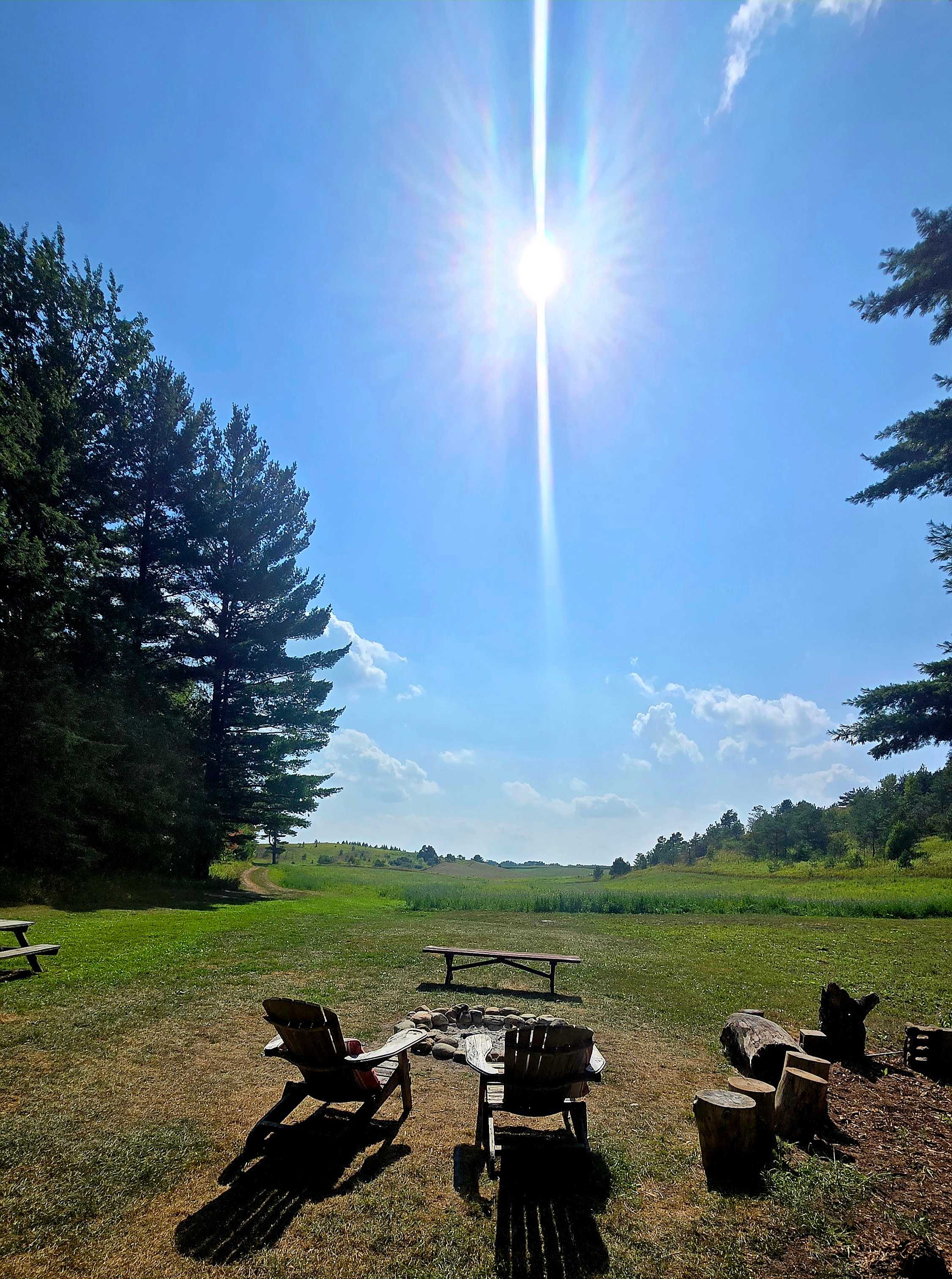 The Rustic Shack in the Wood's