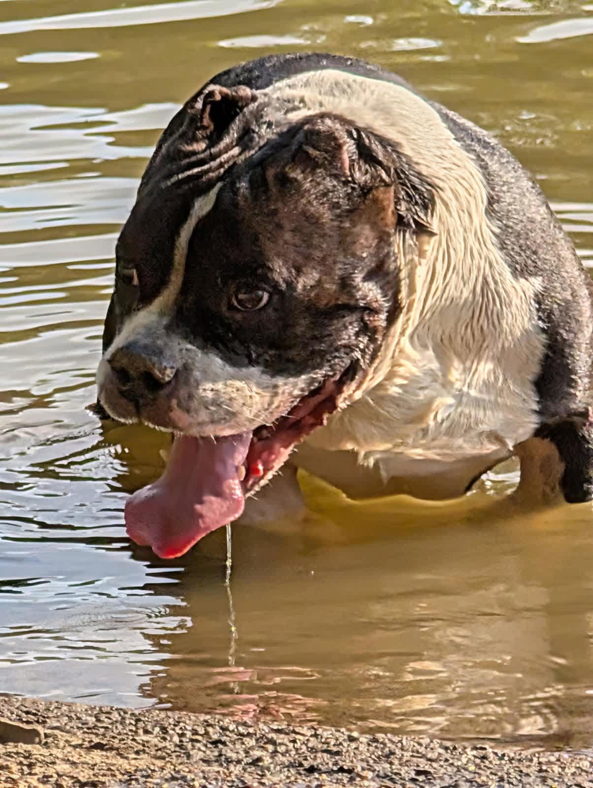 Satchmo cooling off
