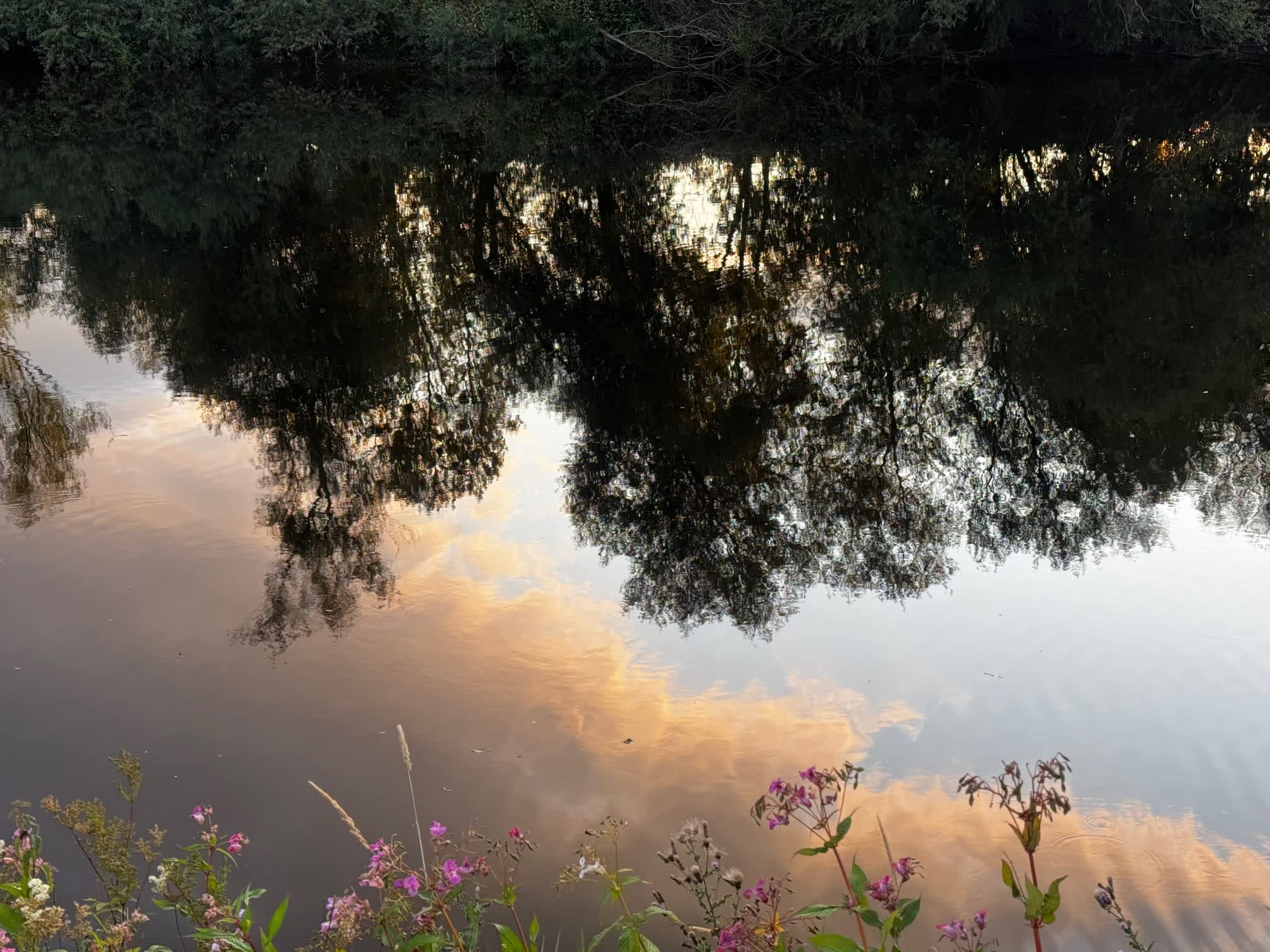 Digeddi Wildlife Camping