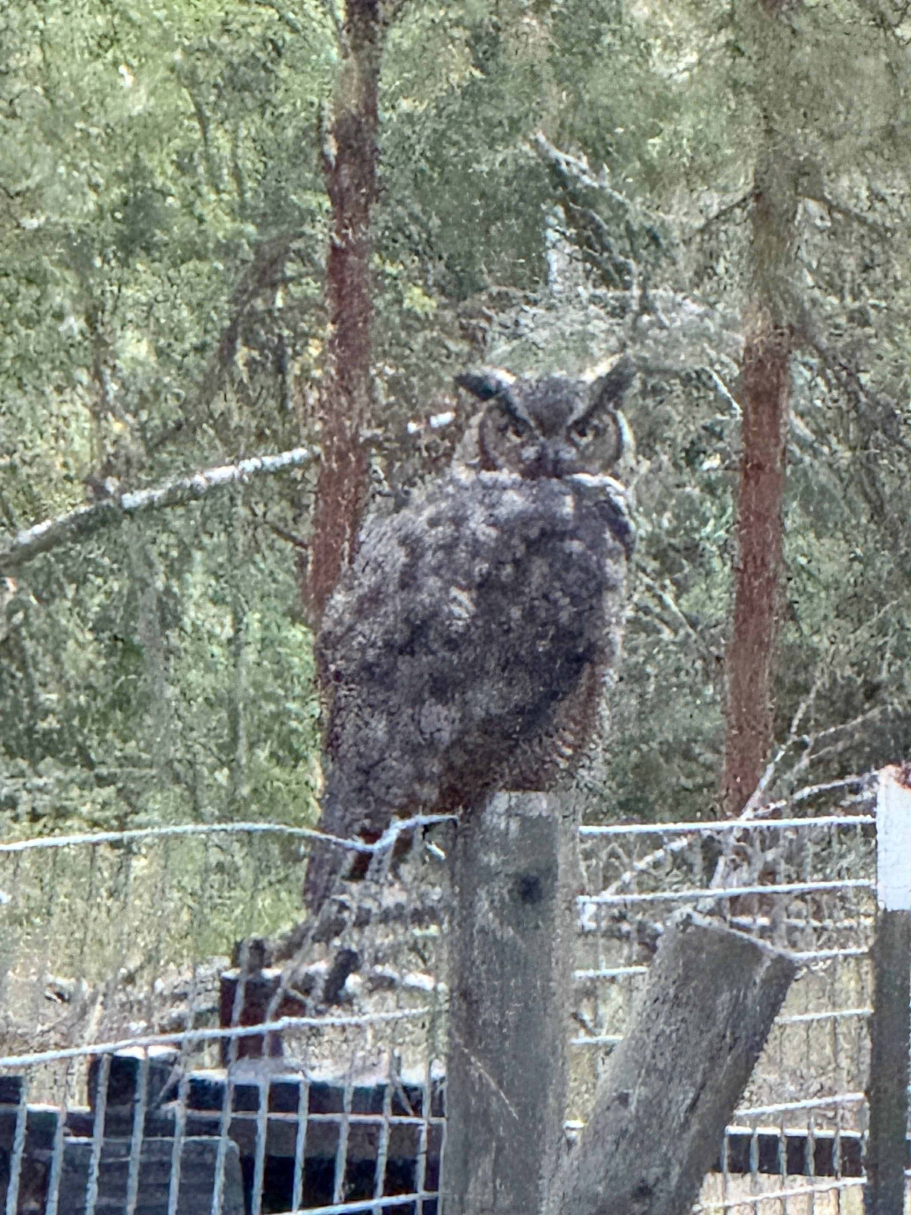God's Country Camping