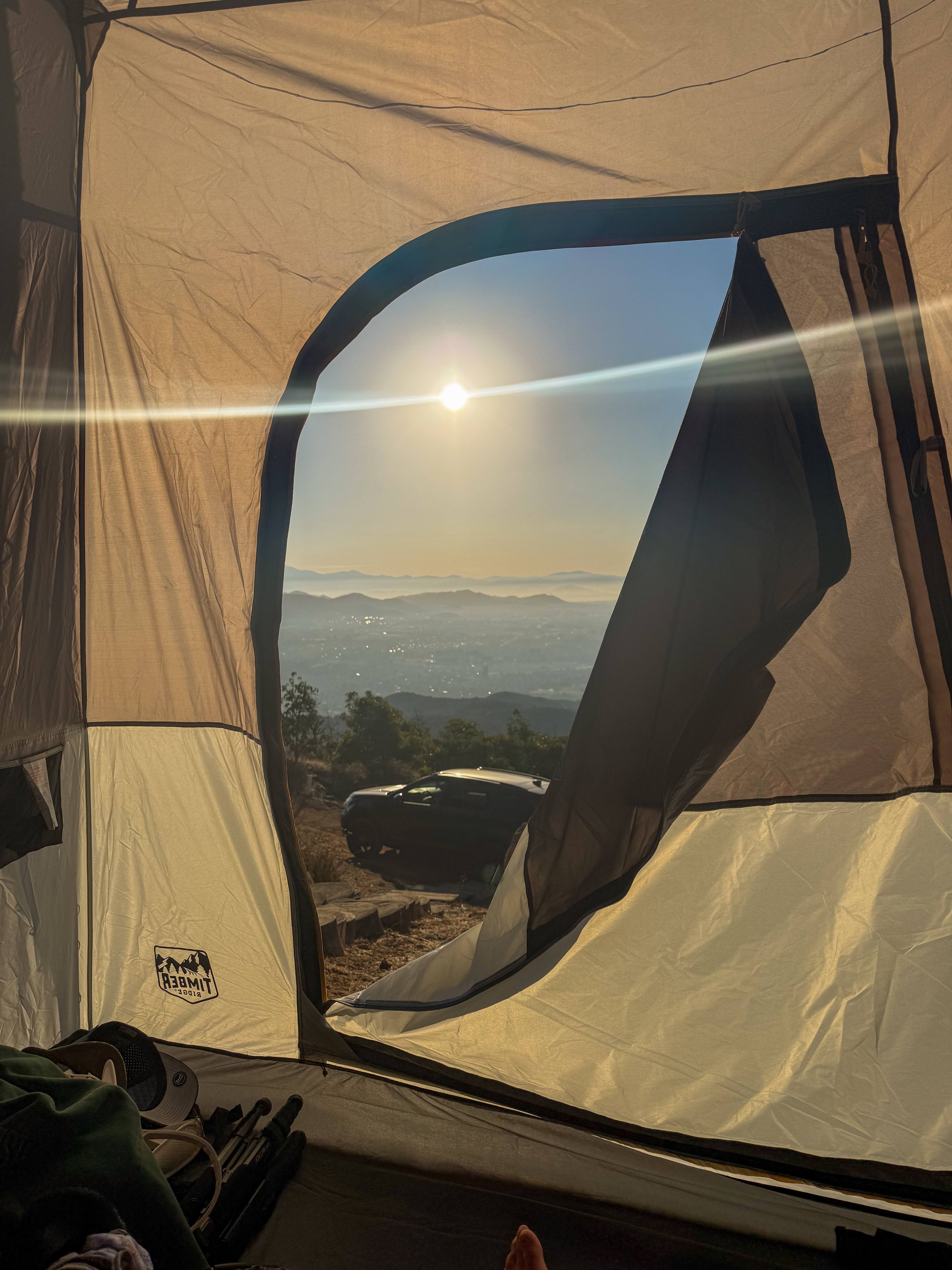 Zephyr Mountain Avocado Grove