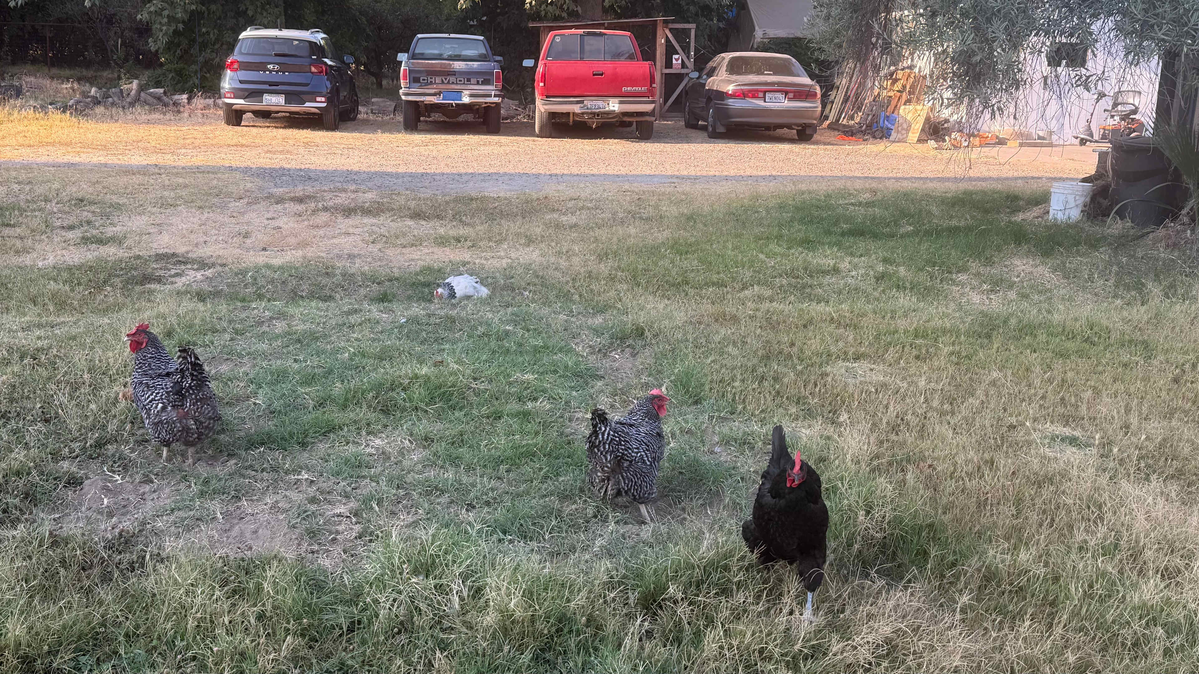 Blue Moon Orchard Retreat