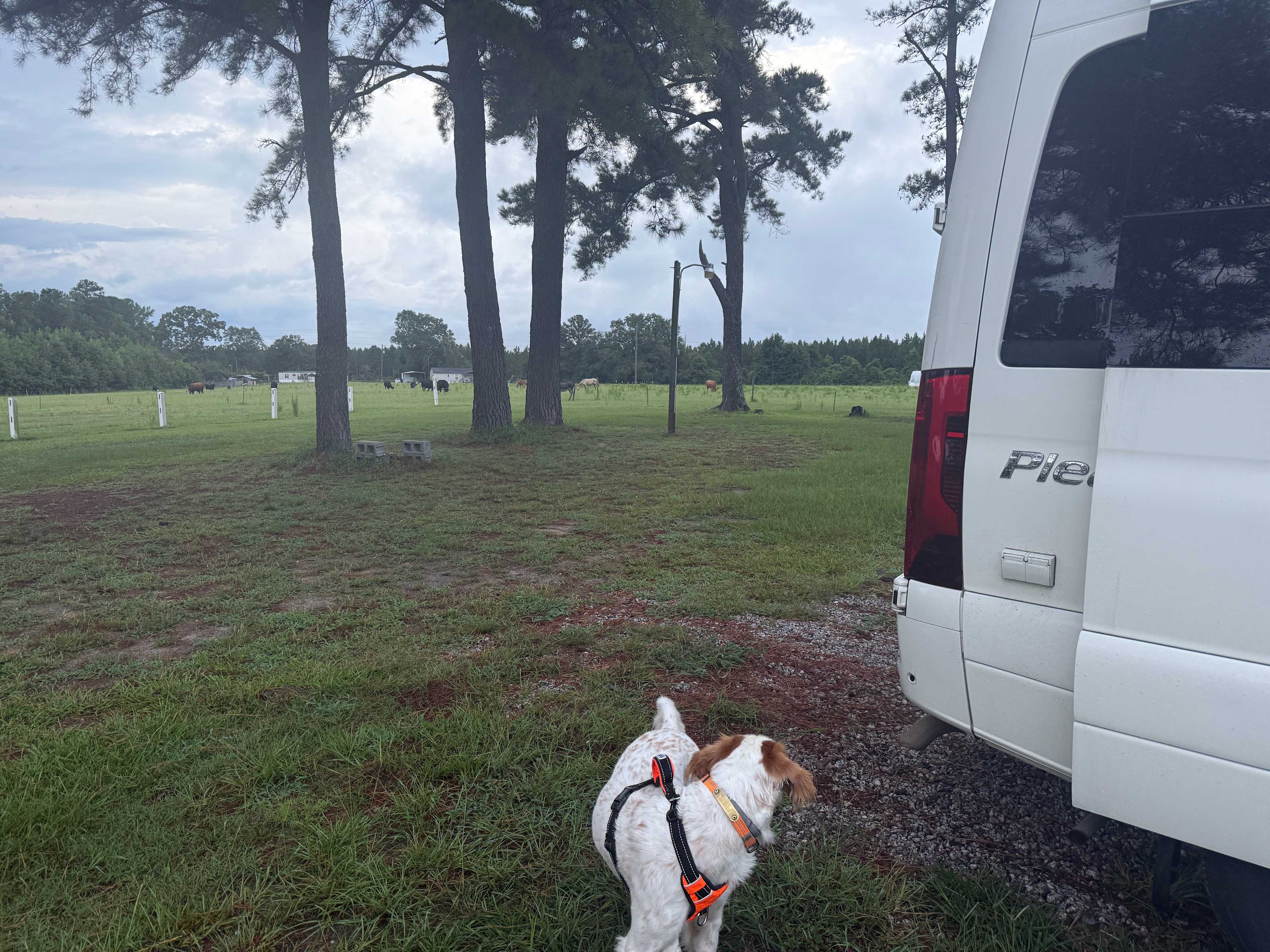 We hooked up right next to the pasture!