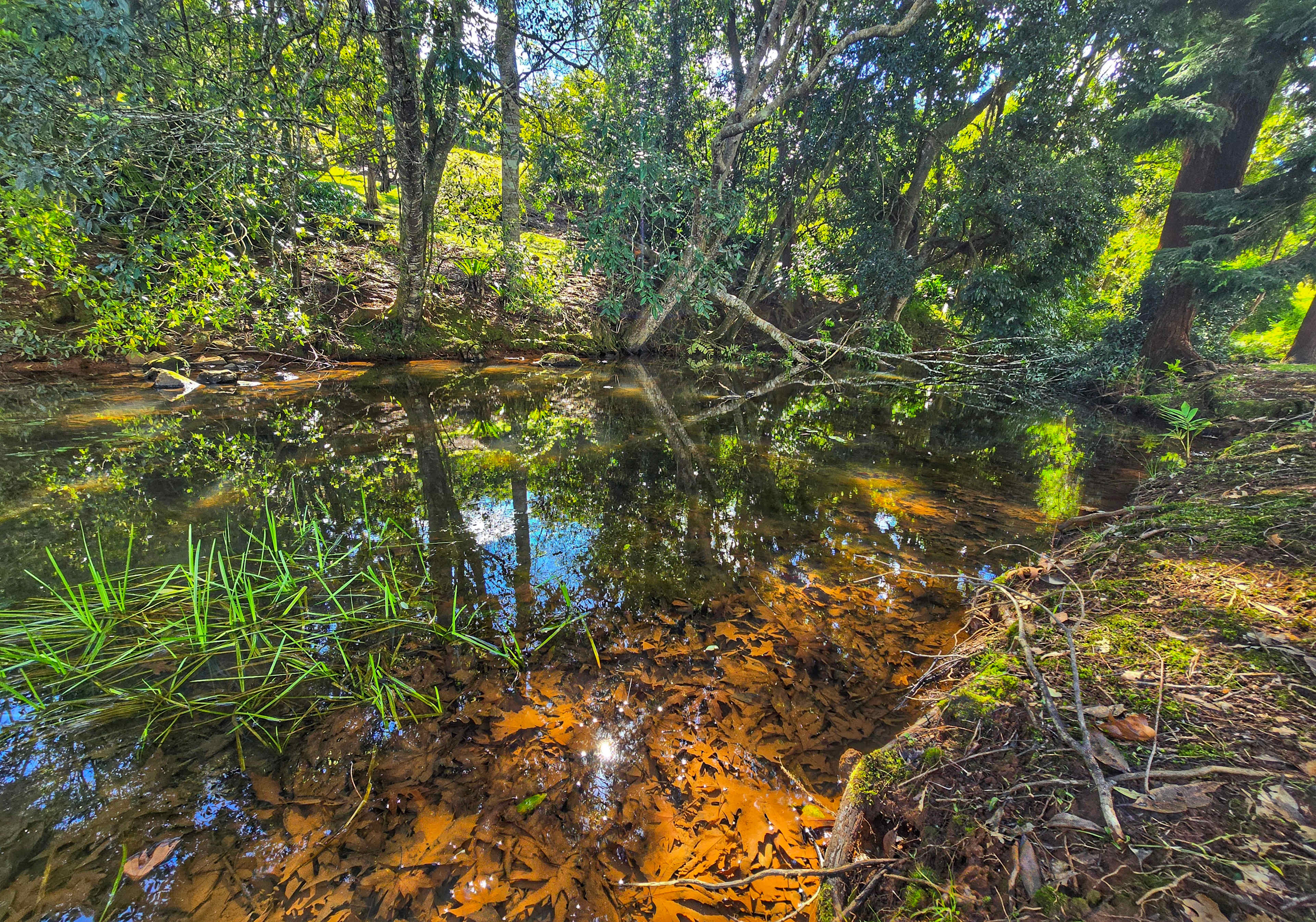 Parkers Place Gardens